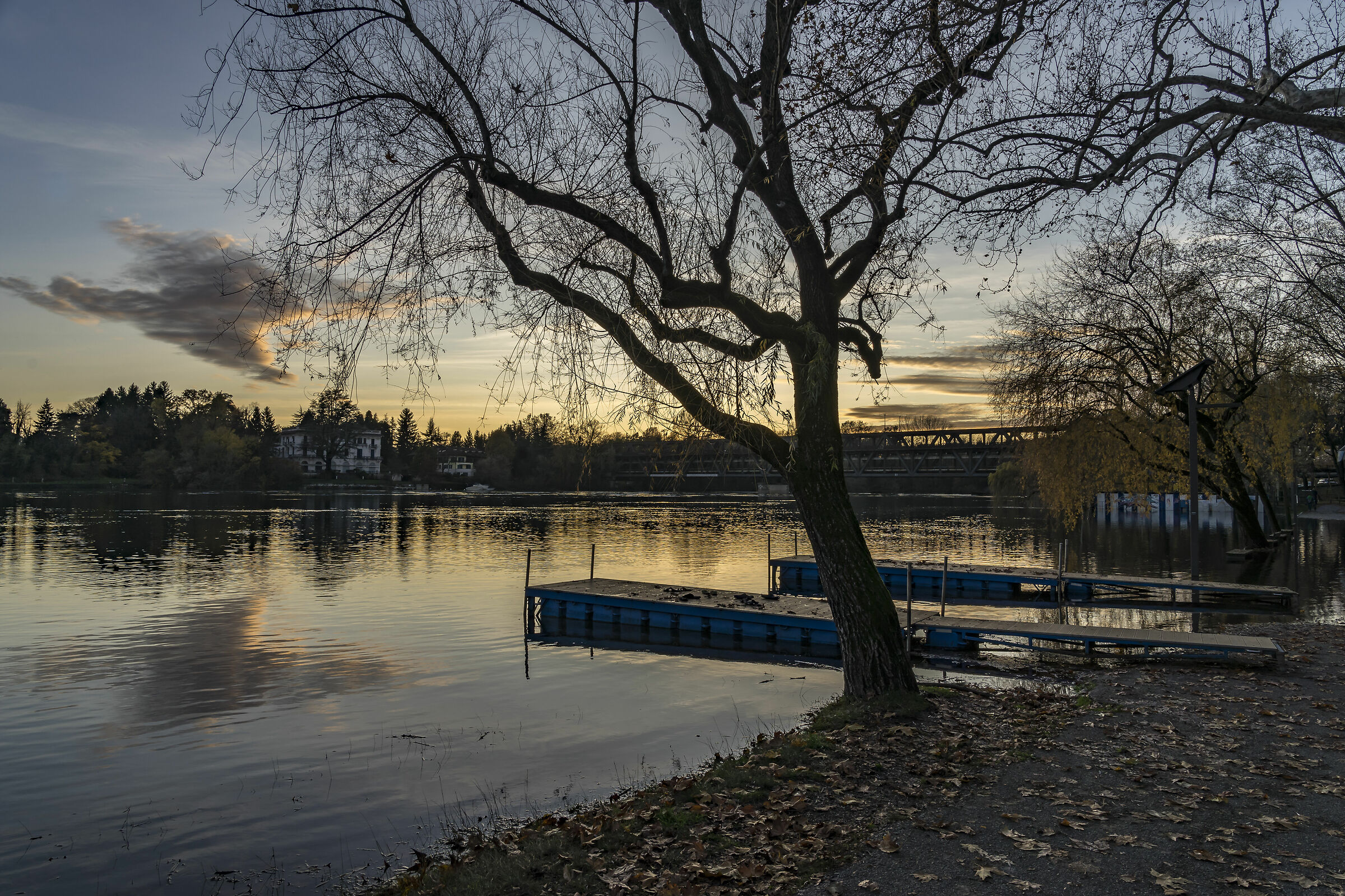 Lunedì 25 novembre 2019, 16:36:26