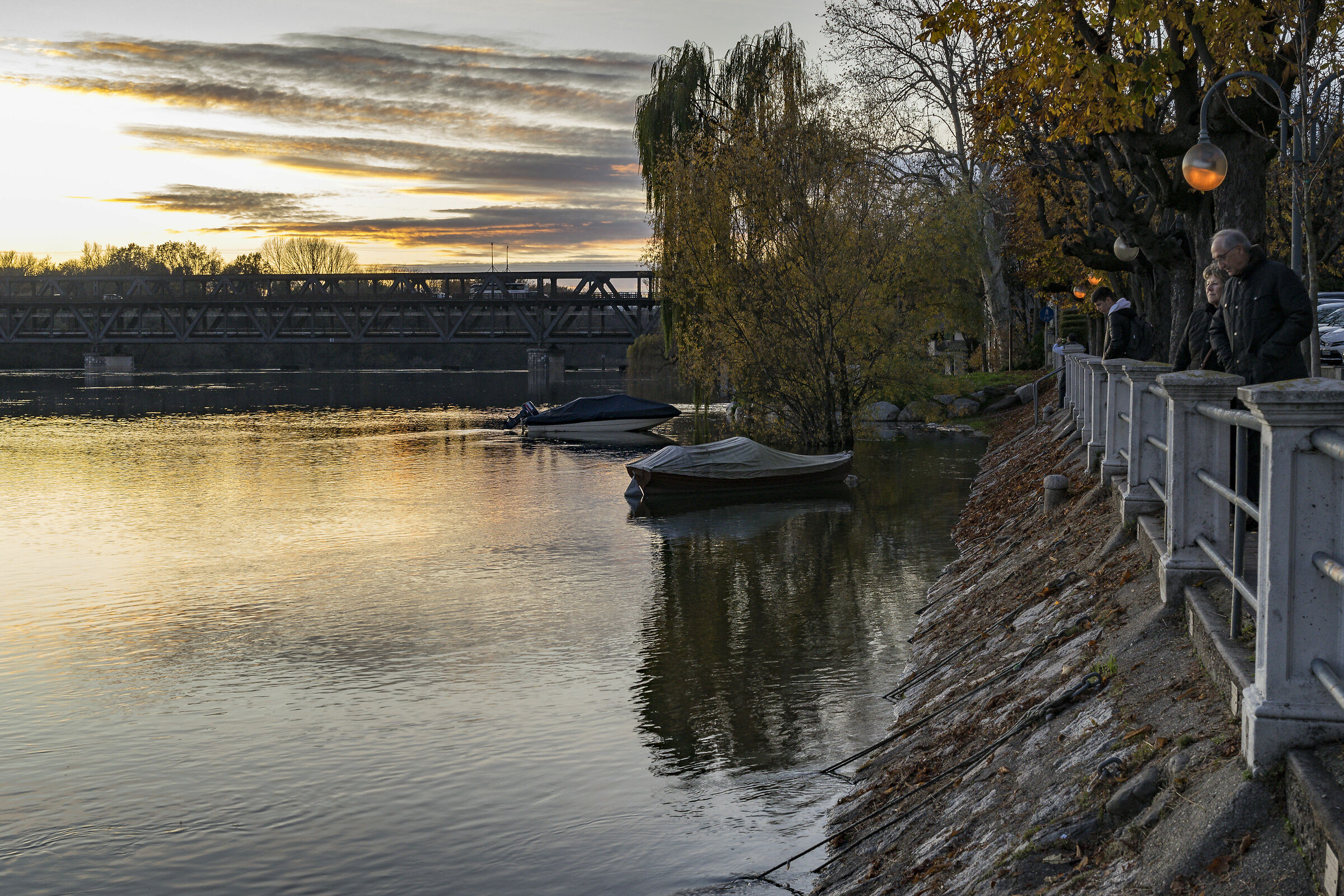 Lunedì 25 novembre 2019, 16:47:34