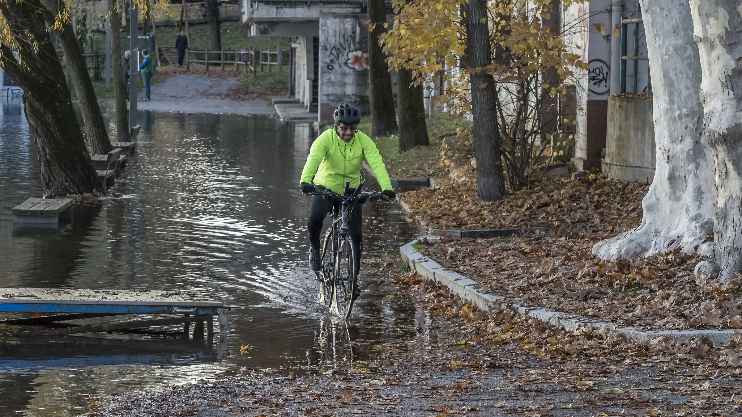 Lunedì 25 novembre 2019, 16:35:12