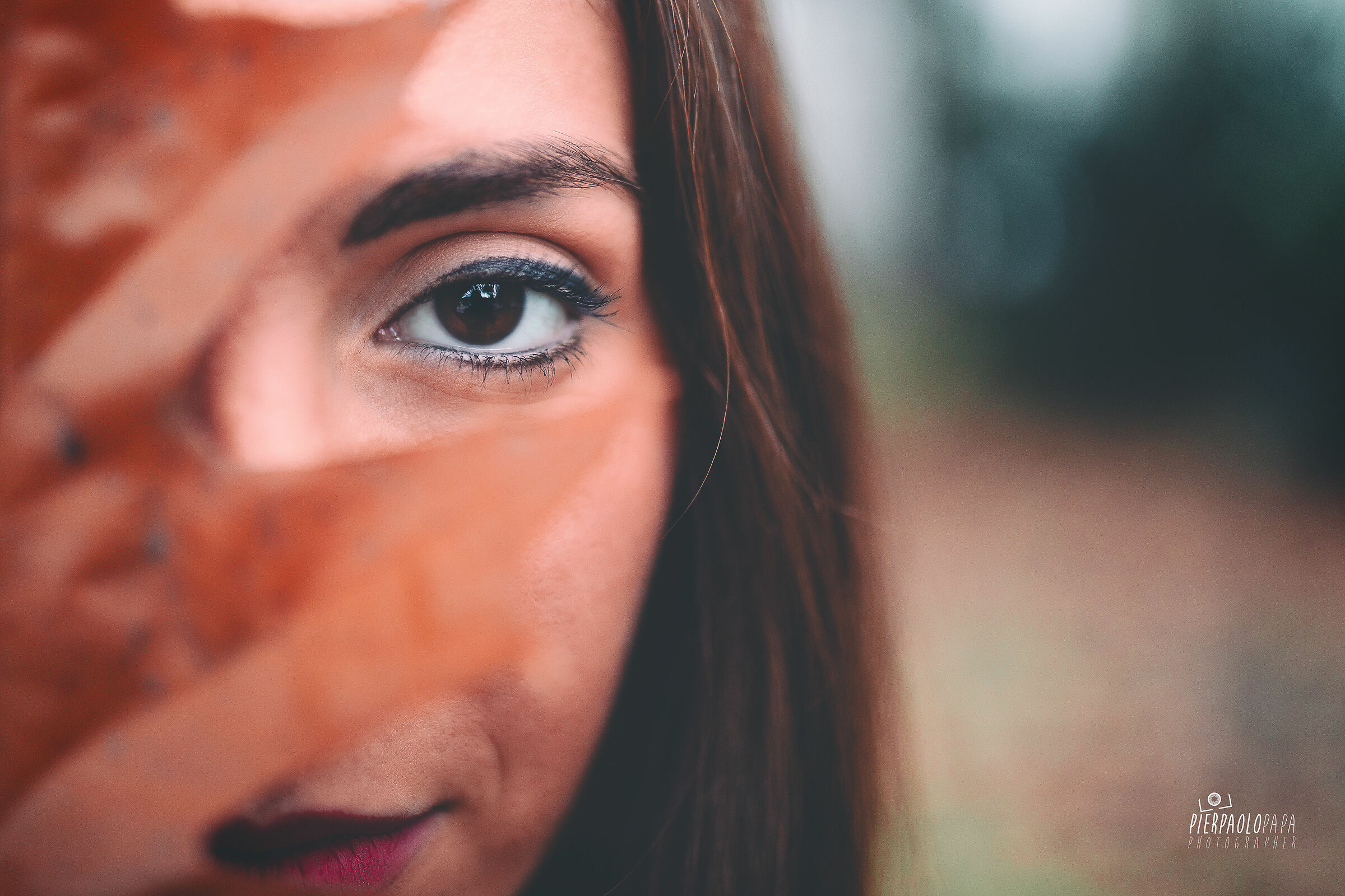 We walked on a carpet of colorful autumn leaves
