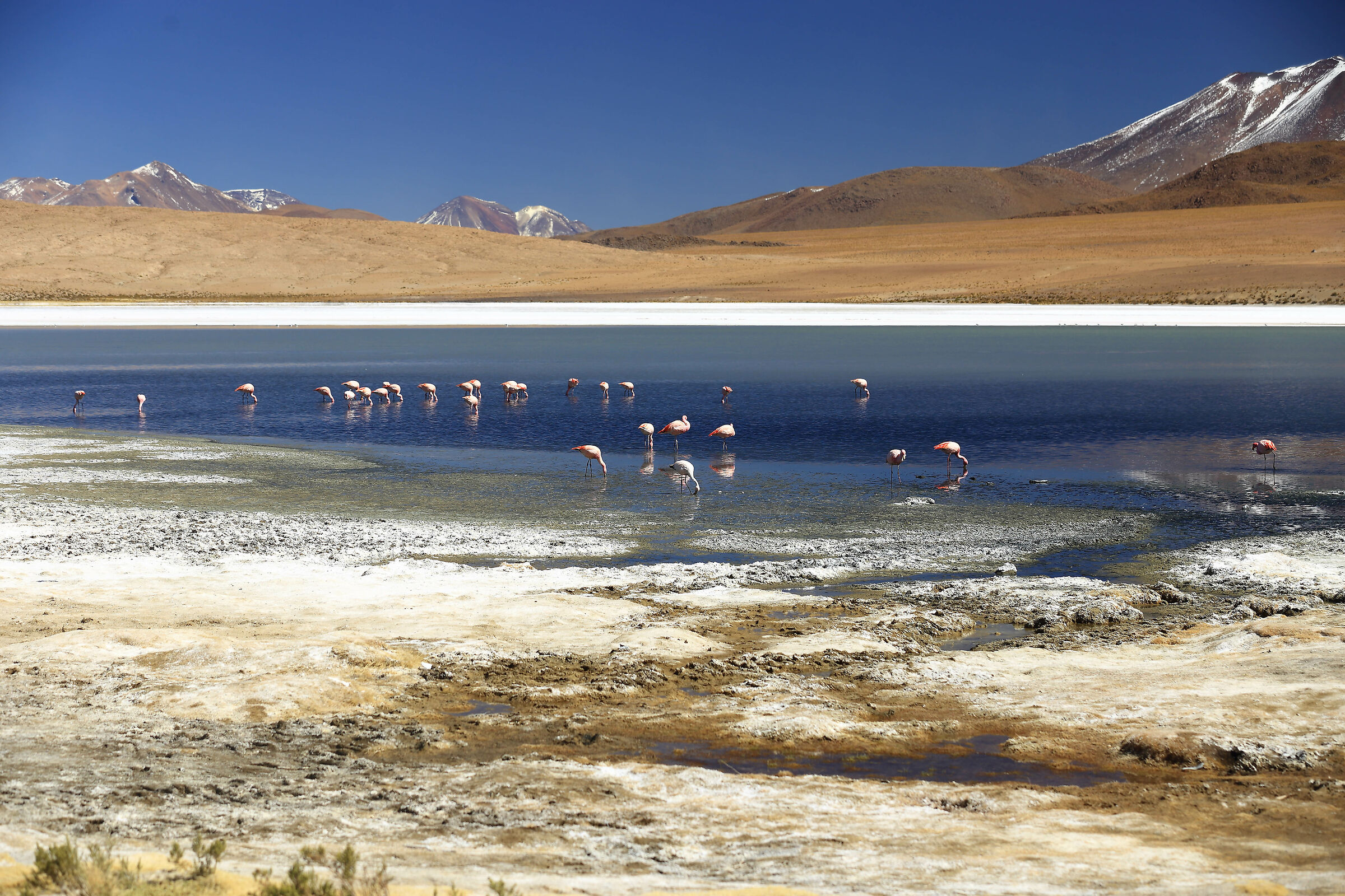 Bolivian lagoons