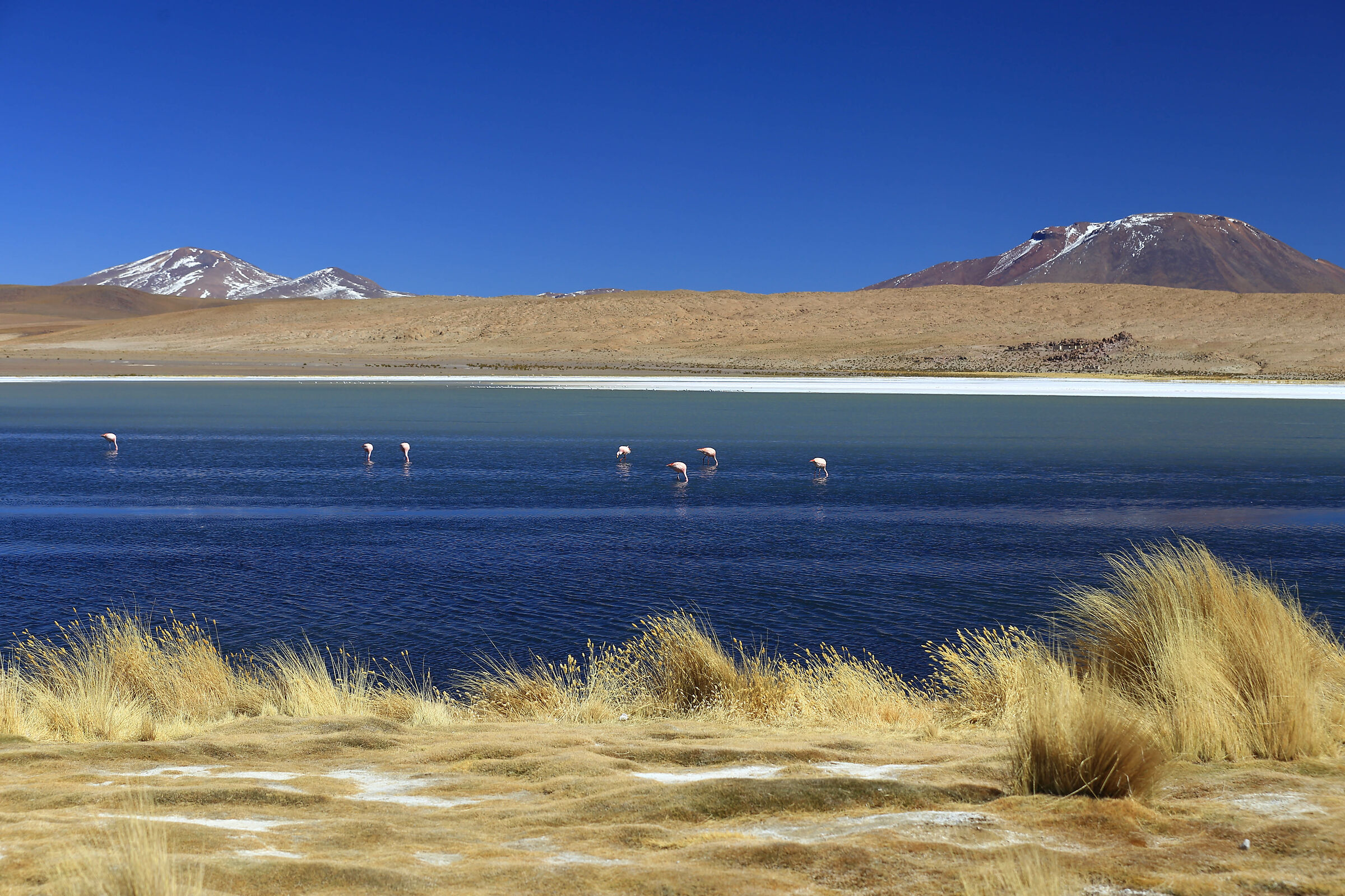 Bolivian lagoons