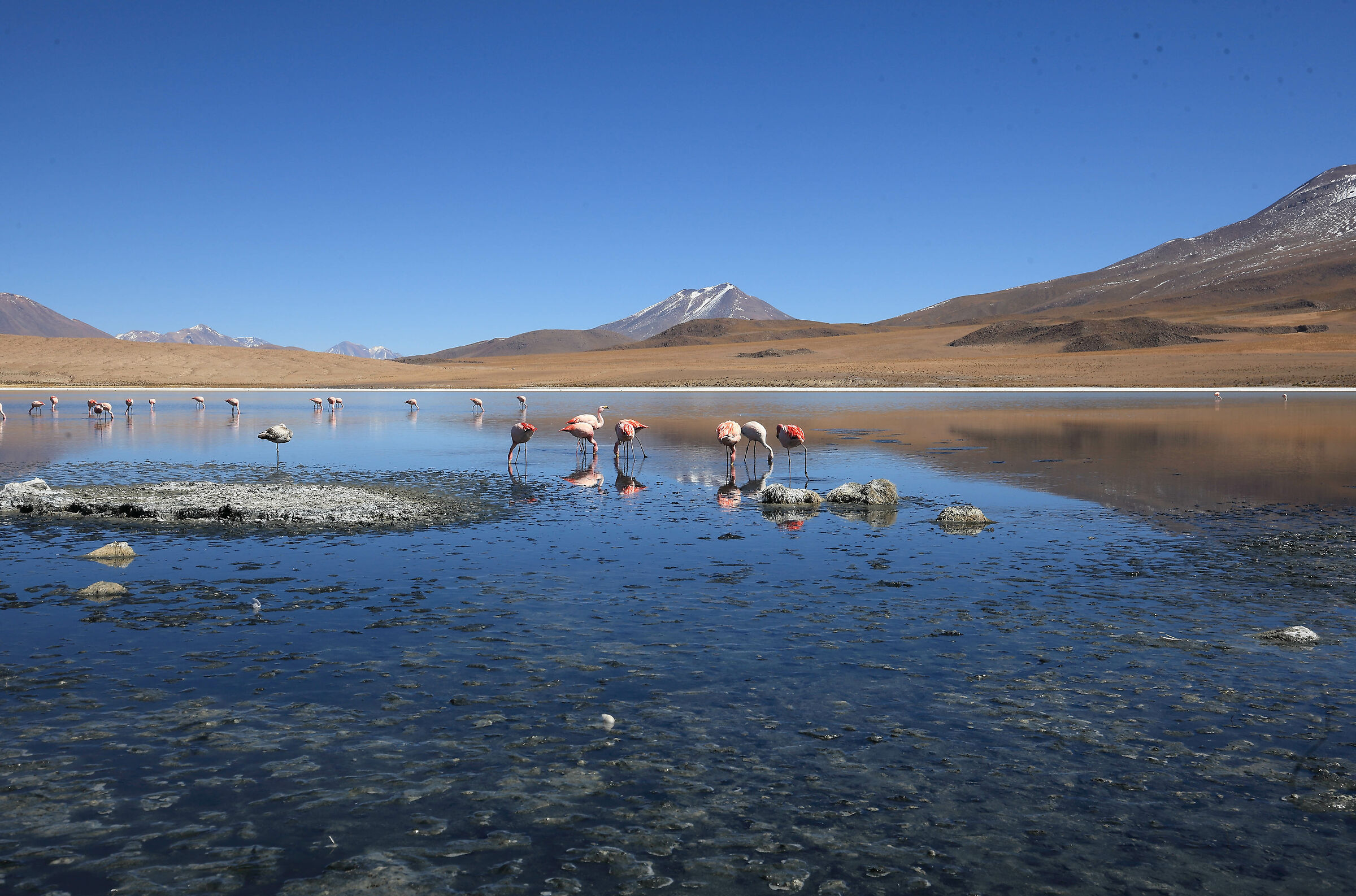 Bolivian lagoons