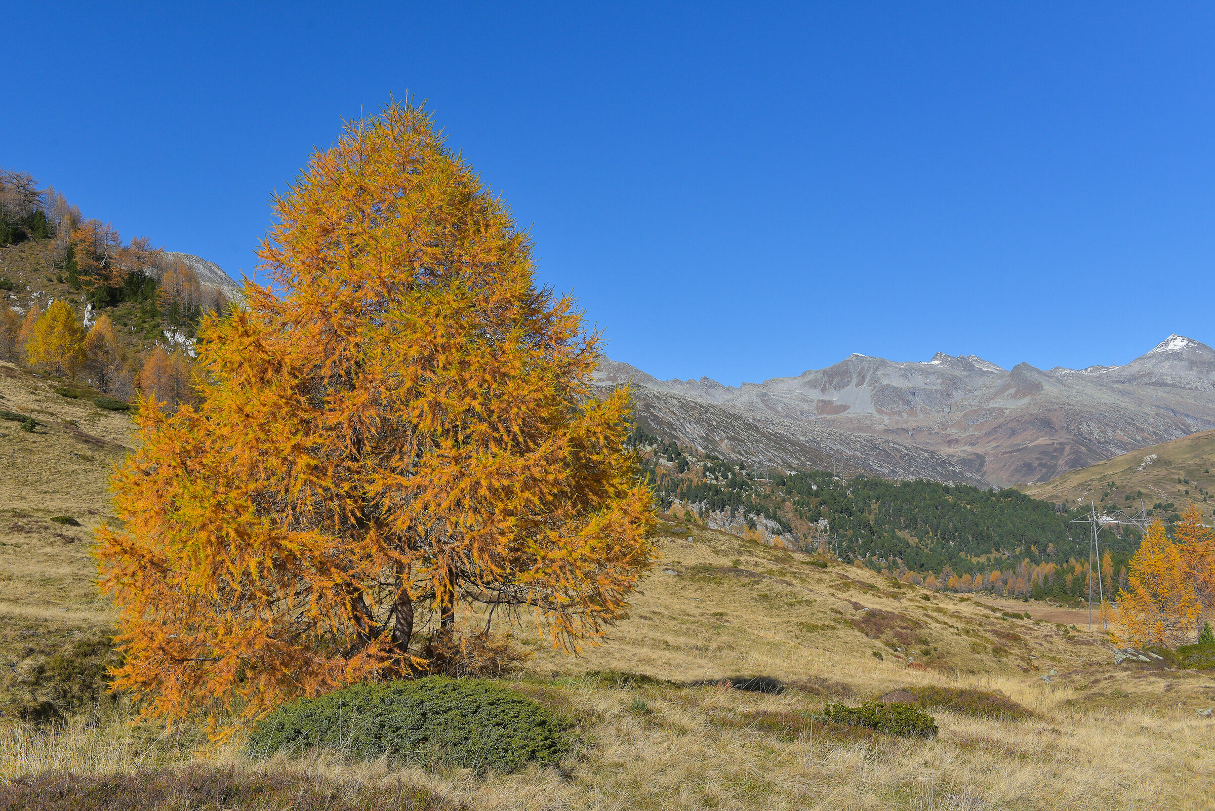 Autunno in montagna