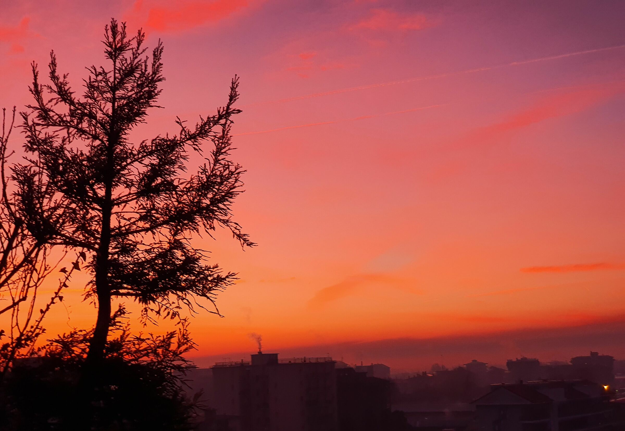 Colori di un'Alba invernale a Corsico