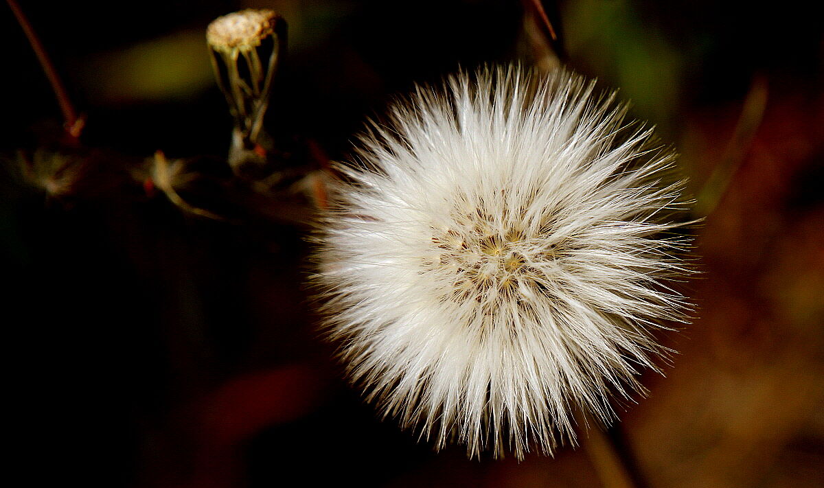 Aspettando la tramontana