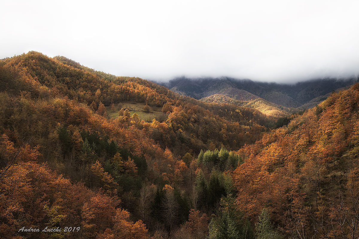 esplosione di colori