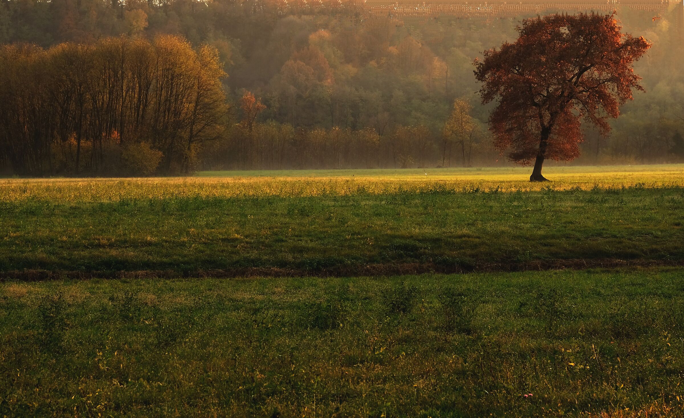 Cose così ( non necessariamente belle )