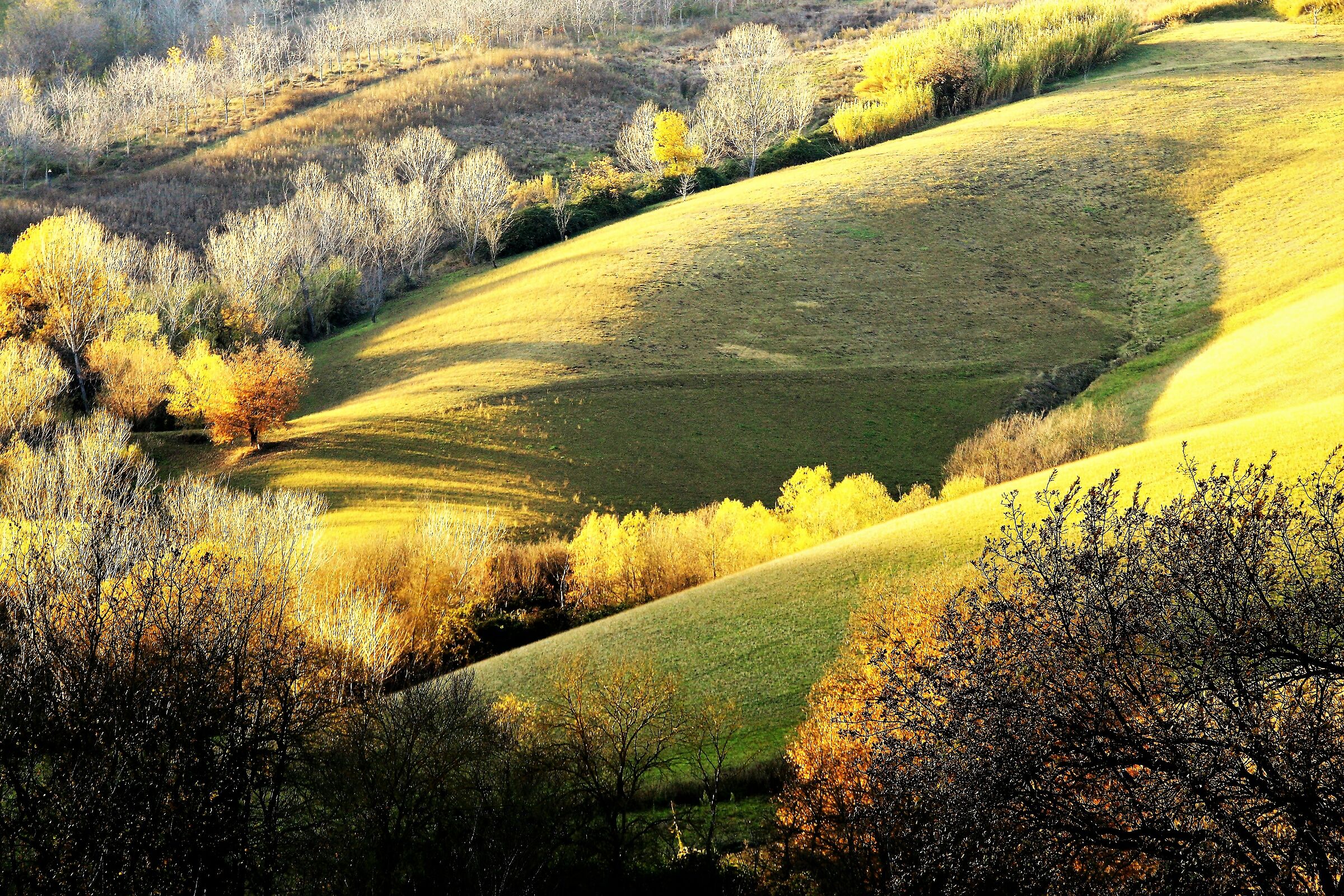 Ultimo sole della giornata autunnale!