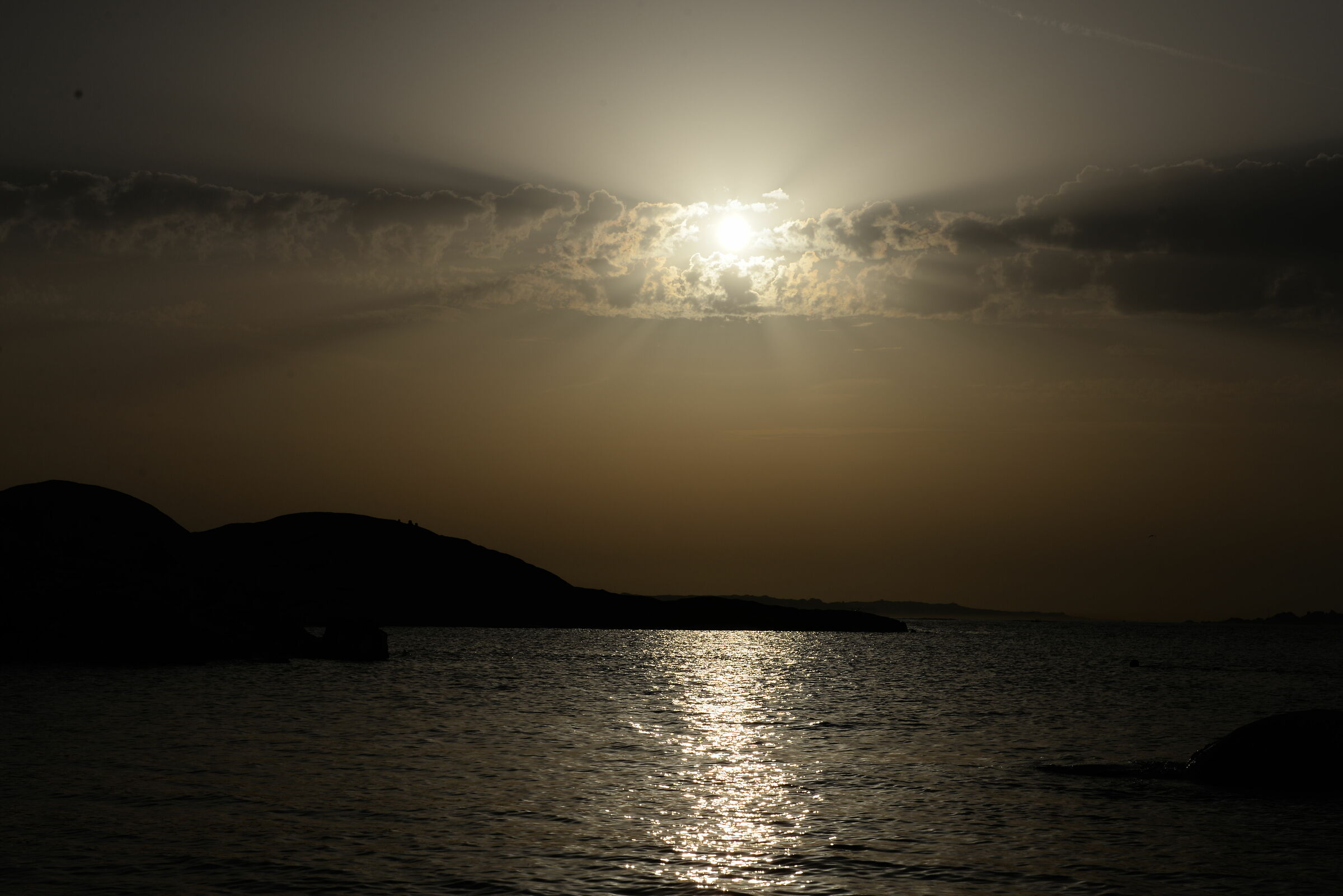 The Magdalene (Tegge) 2017_1