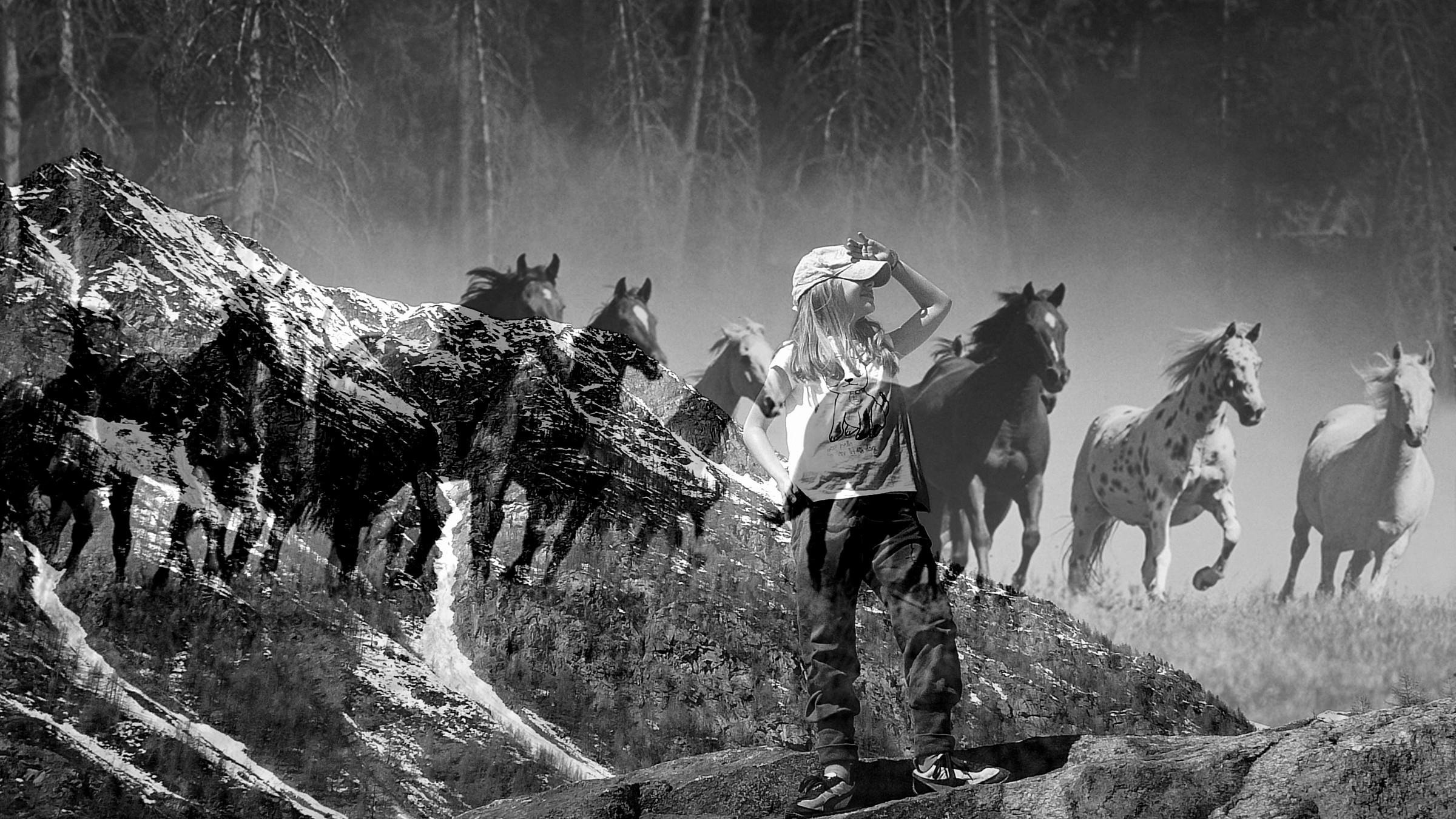 visions on the horizon