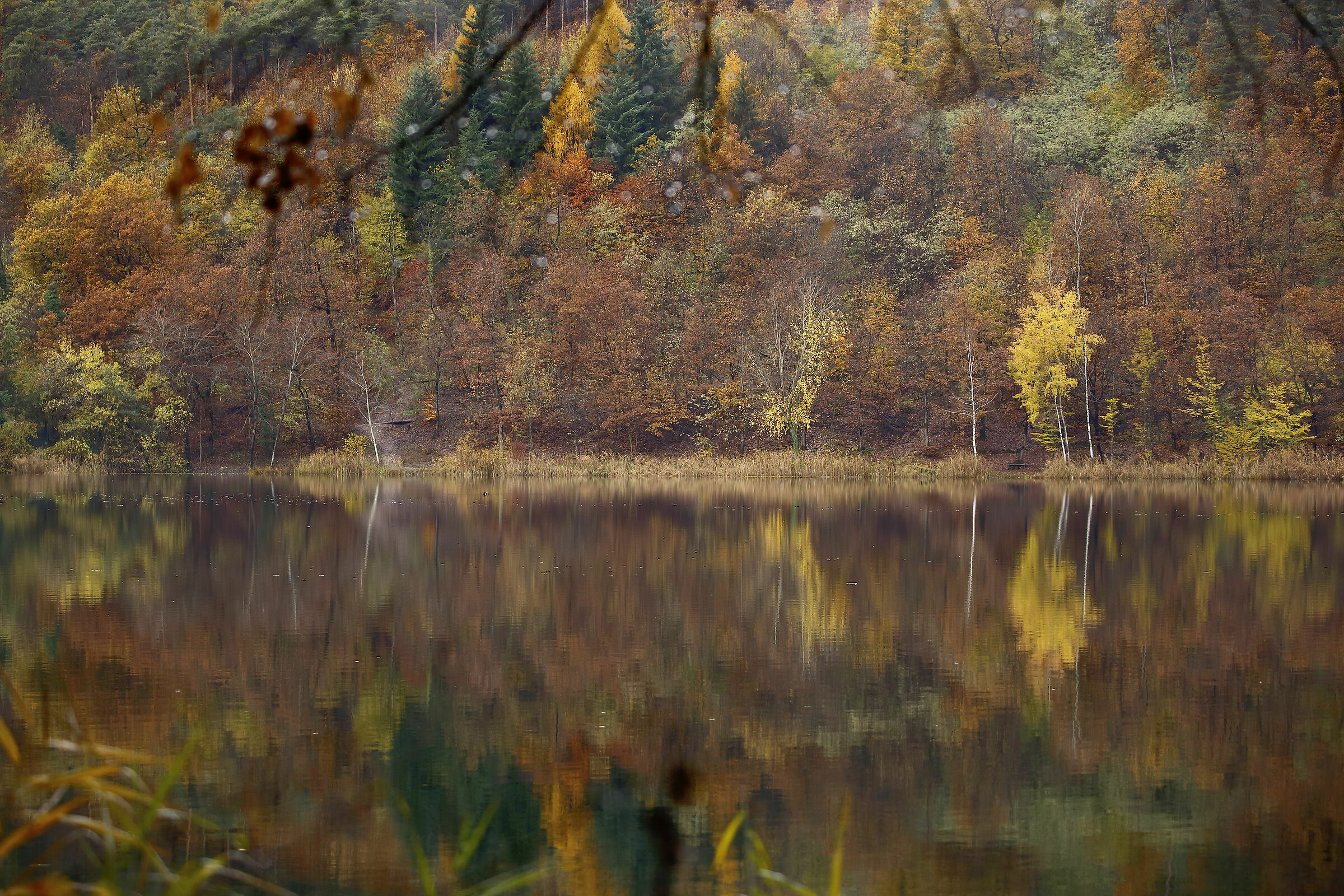 Monticolo a novembre