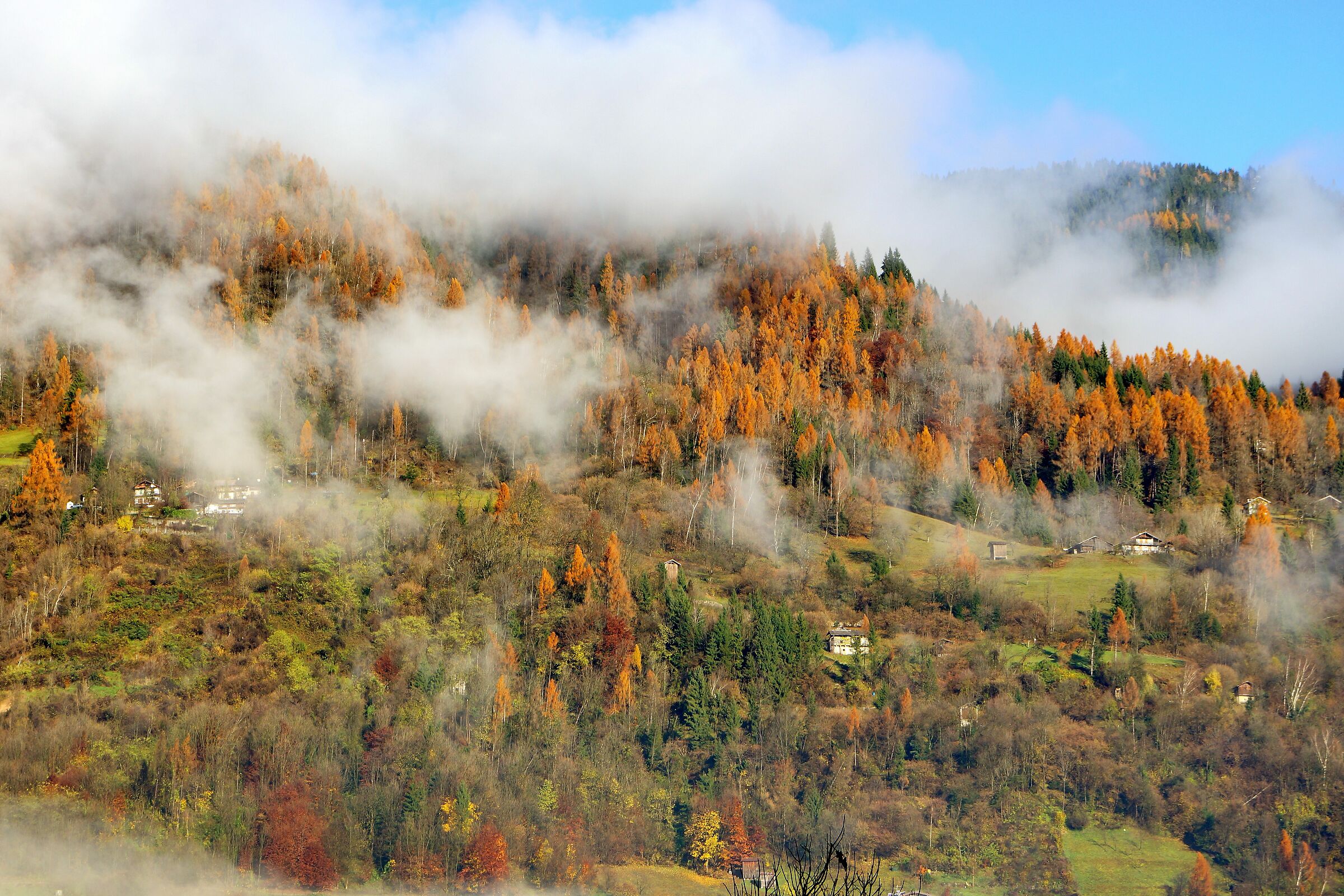 the colors of autumn