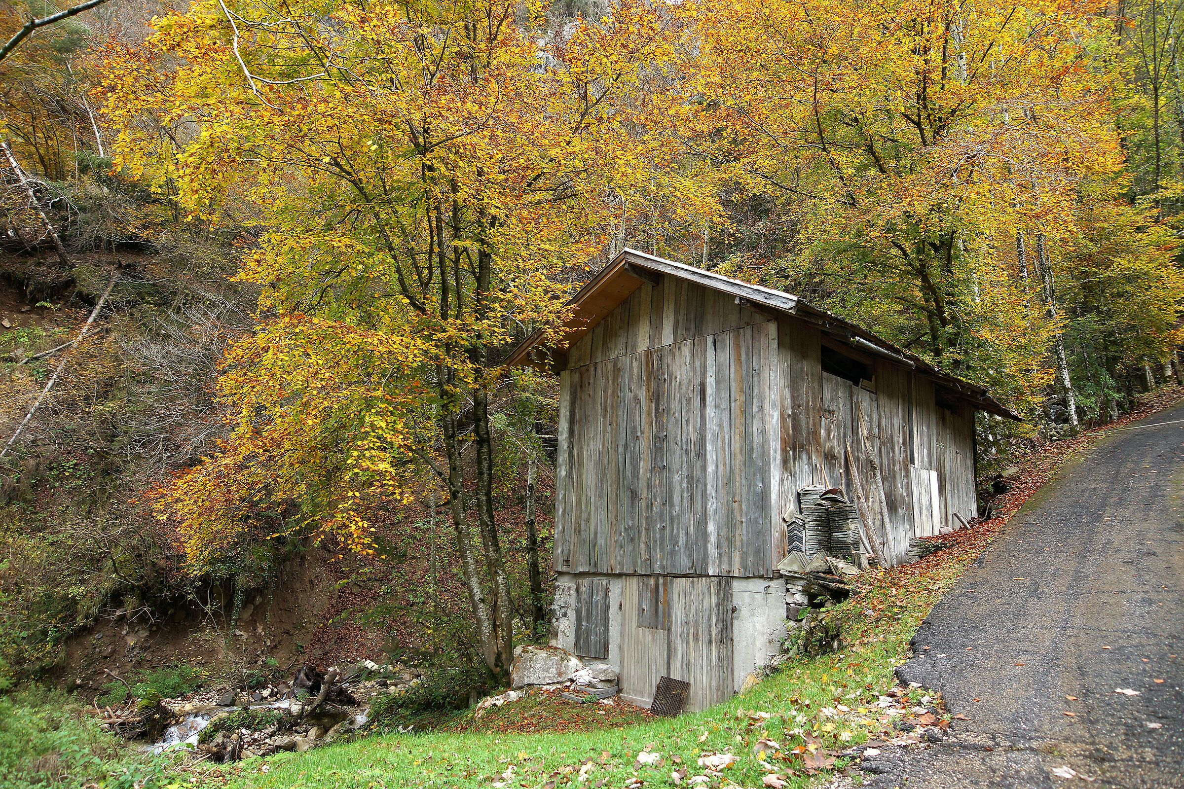 the little house in the middle of the colors