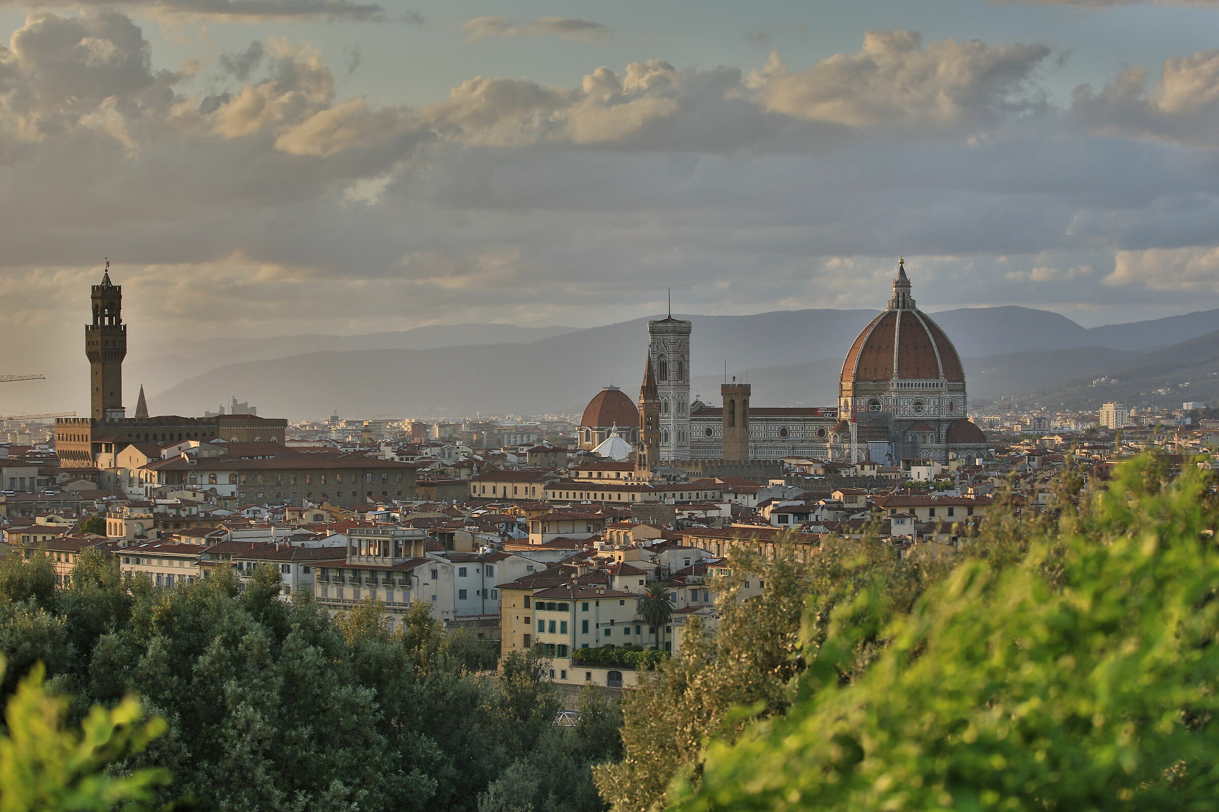 Florence