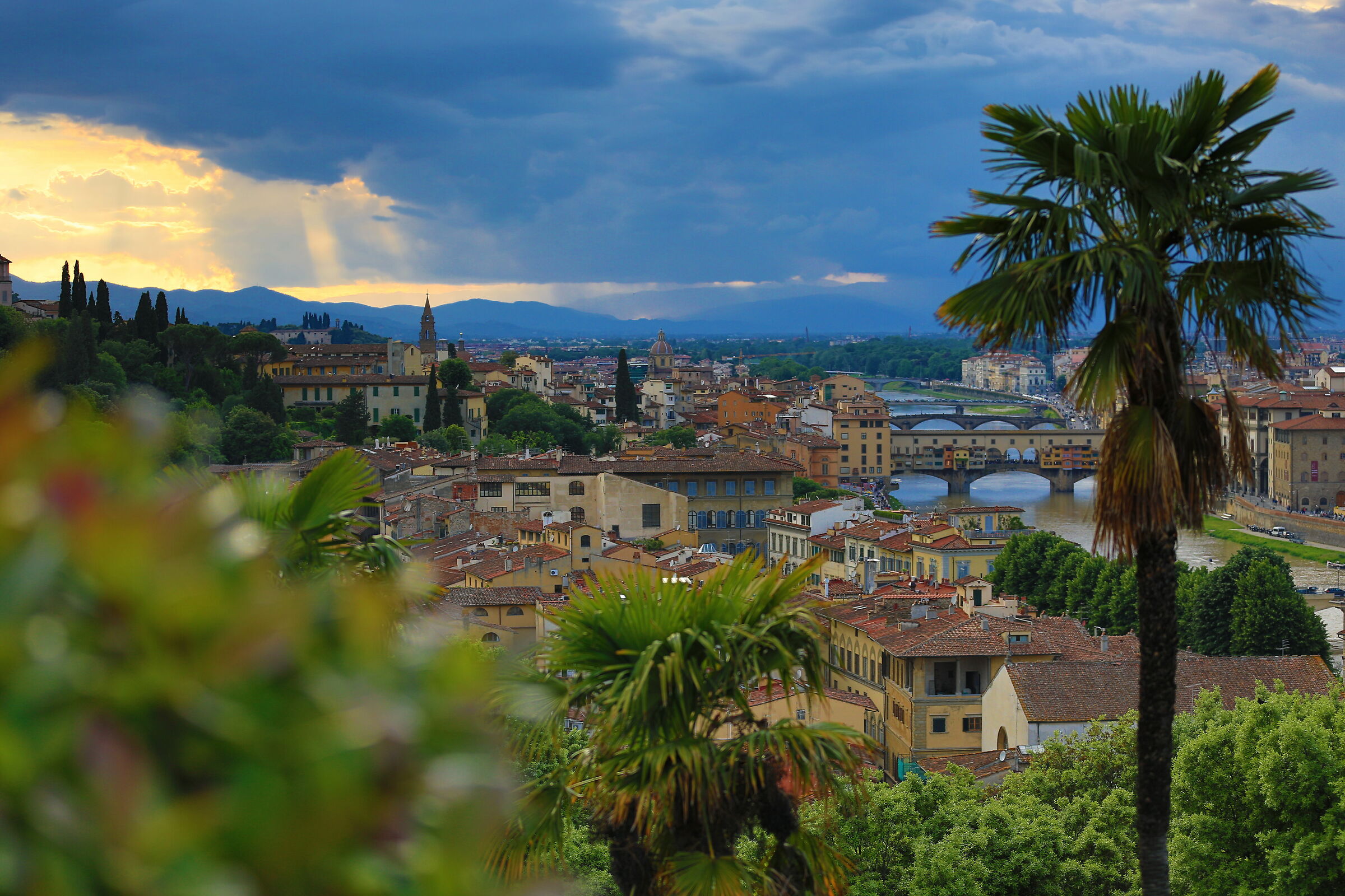 Florence