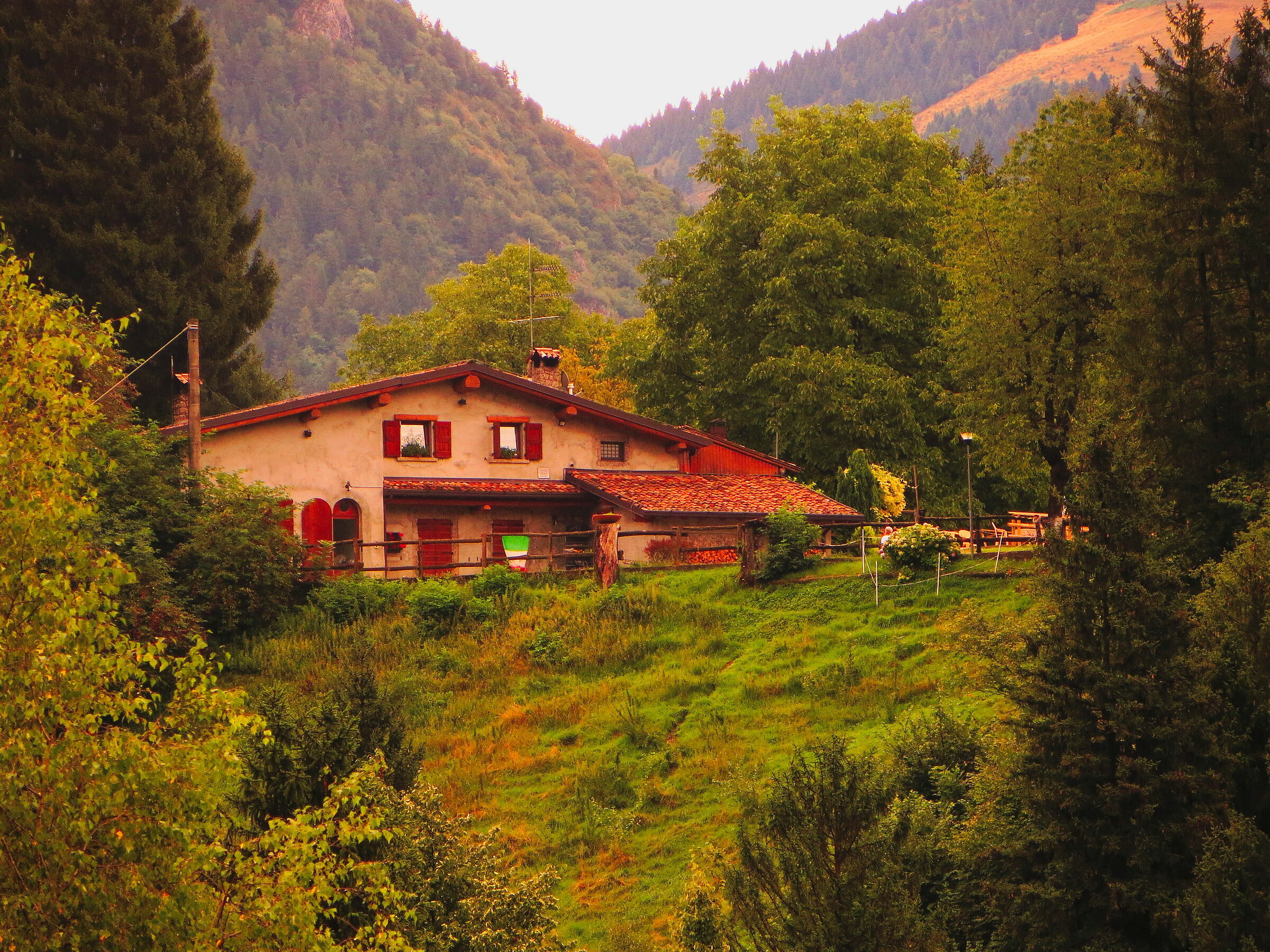 See there's a house in the woods...