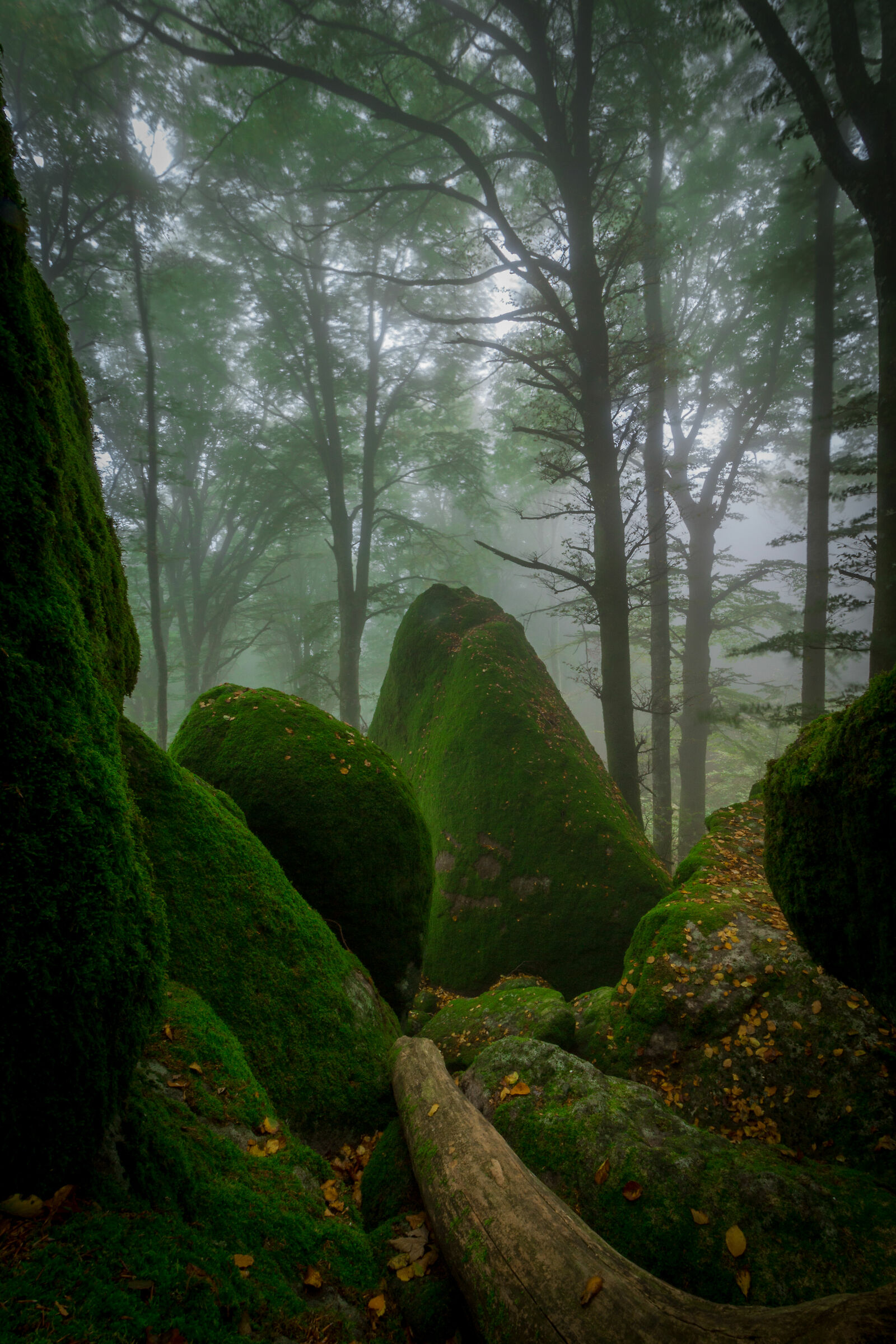 Green stone