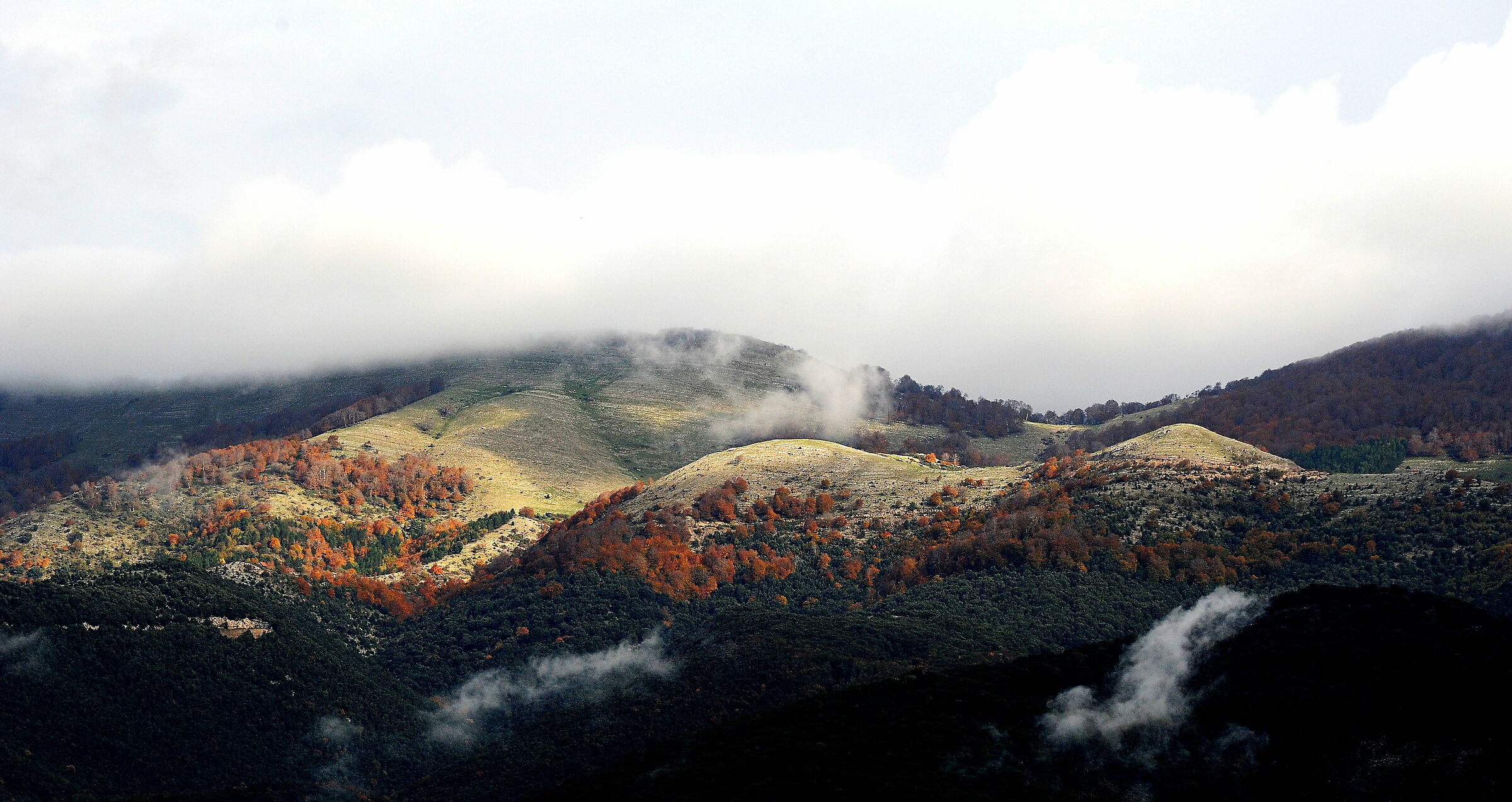 The colors of the Alwaysvisa