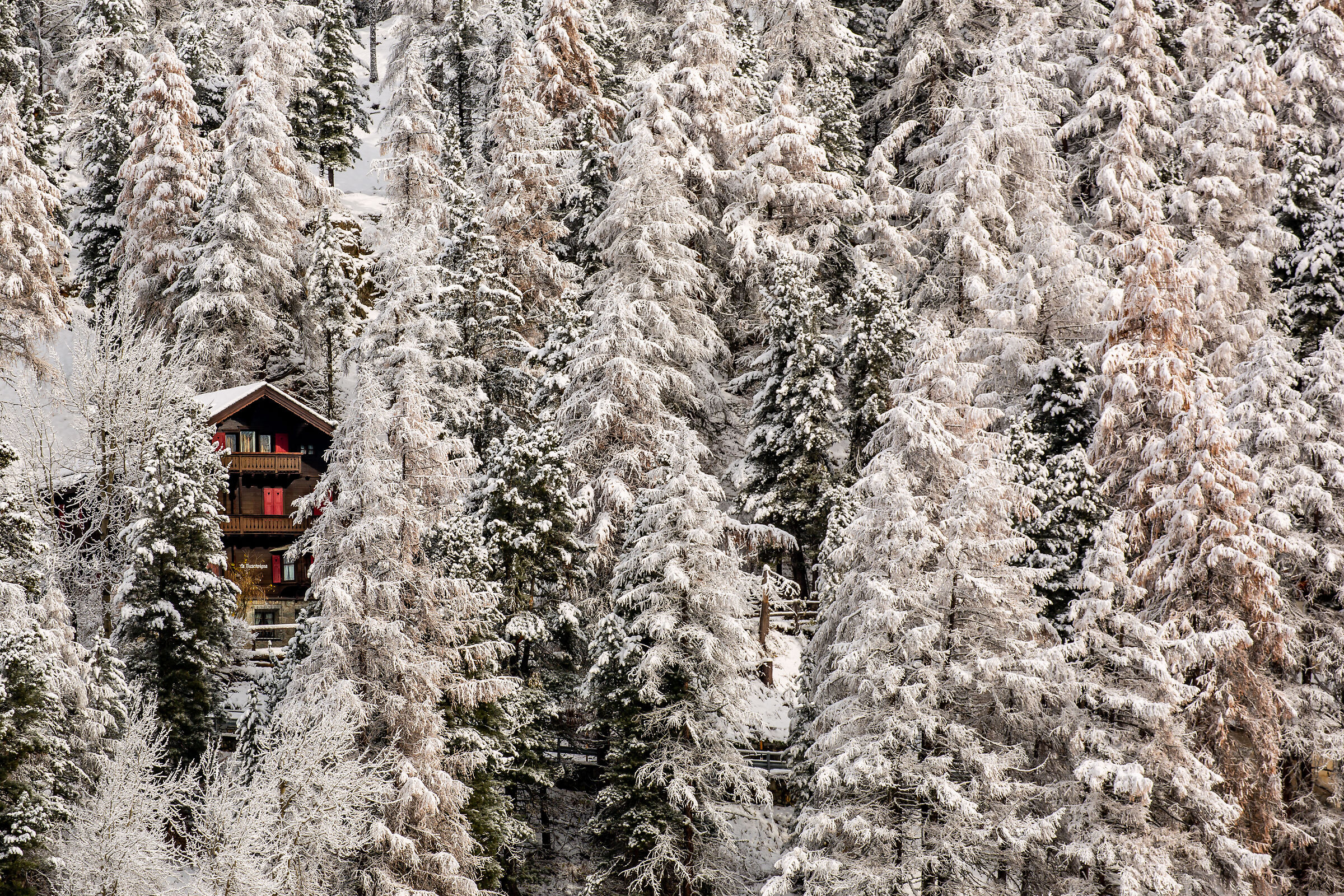 "Un'Incantevole Solitudine"