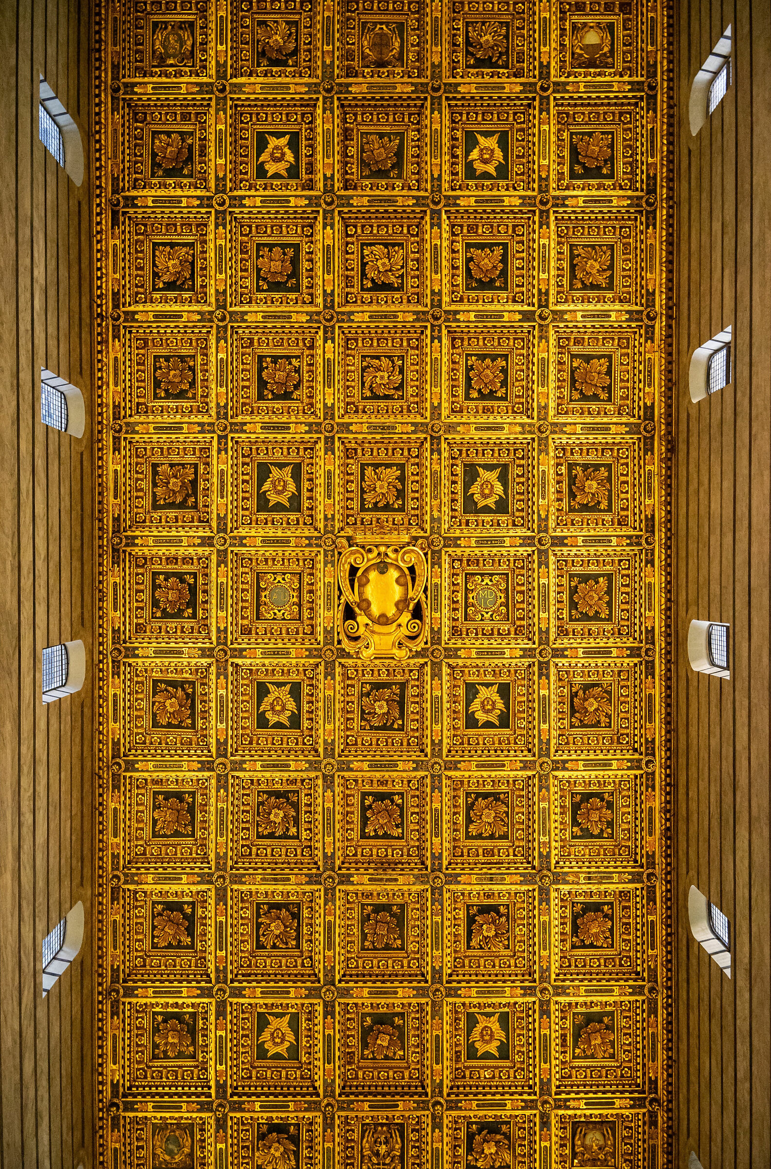 The Ceiling of the Pisa Cathedral