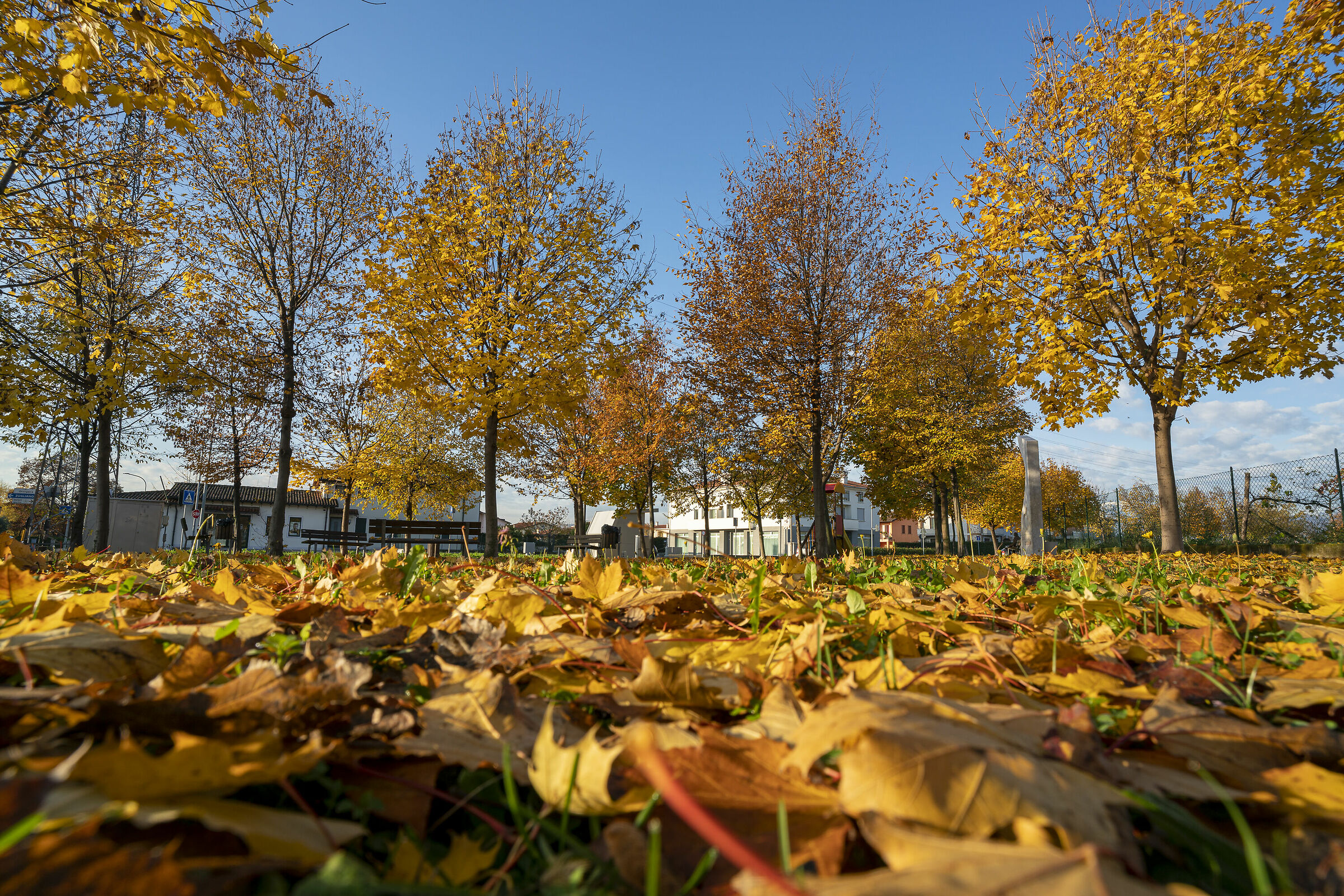 Autumn under the house