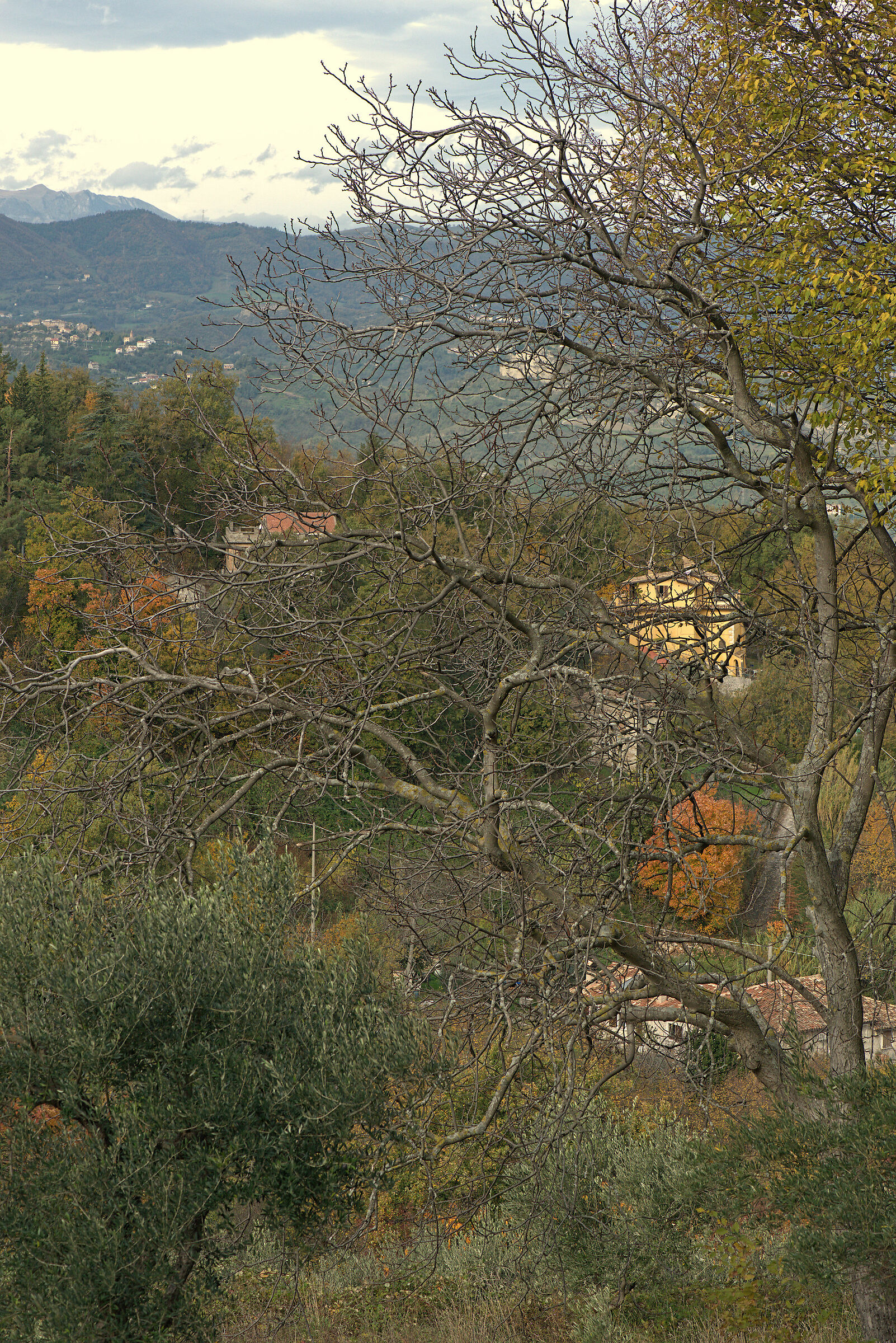 Autumn Colors