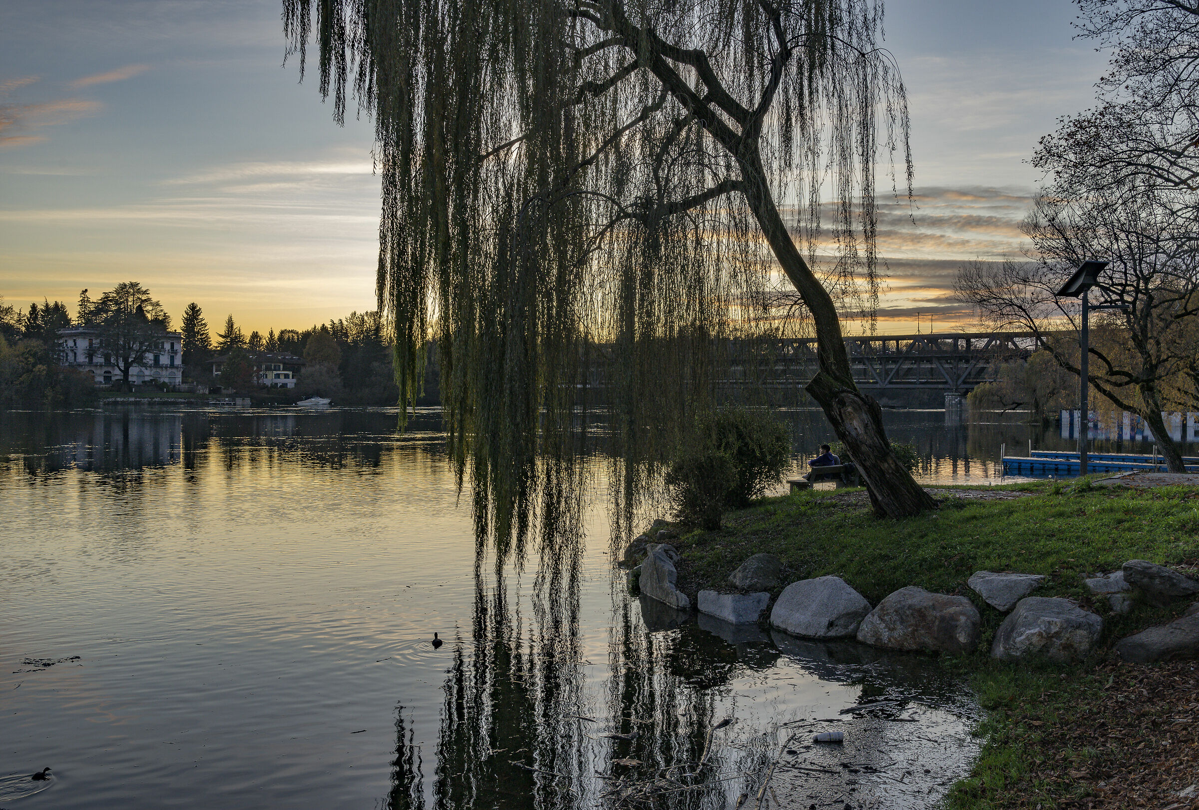 Lunedì 25 novembre 2019, 16:42:28