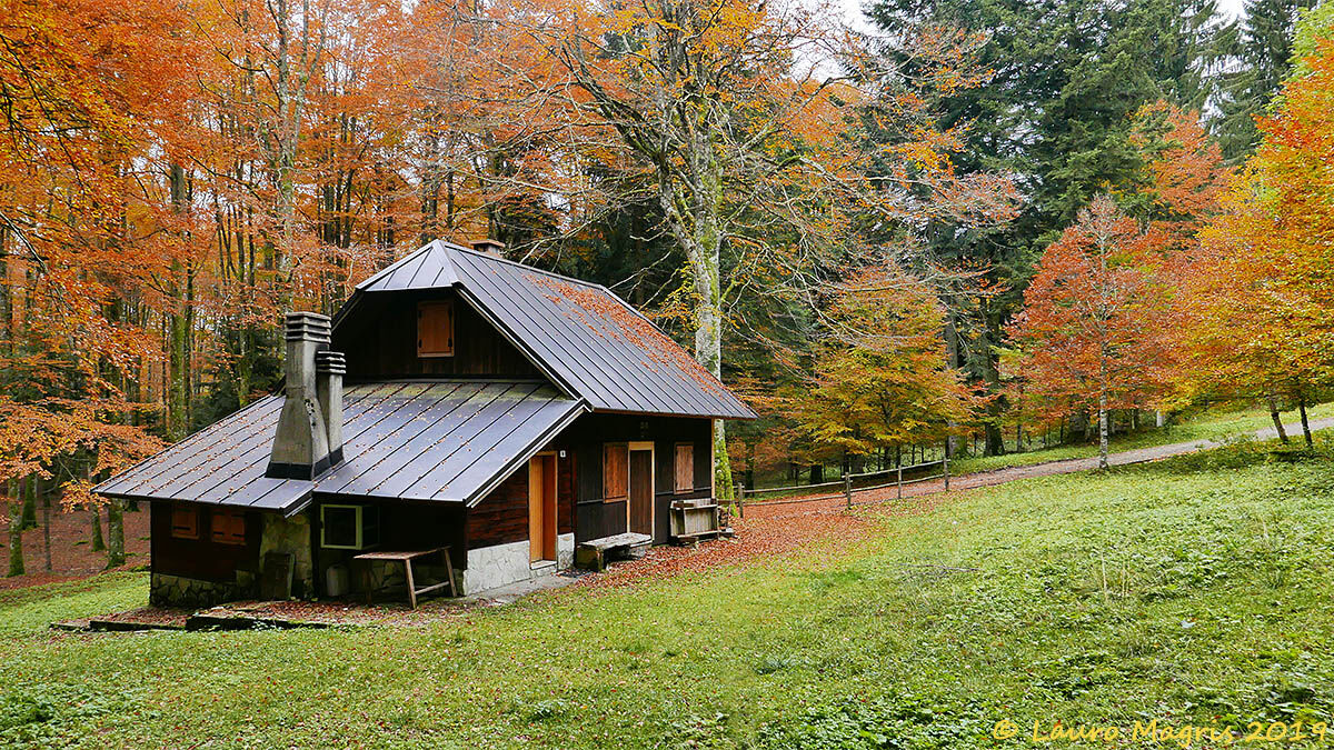 A house in the woods