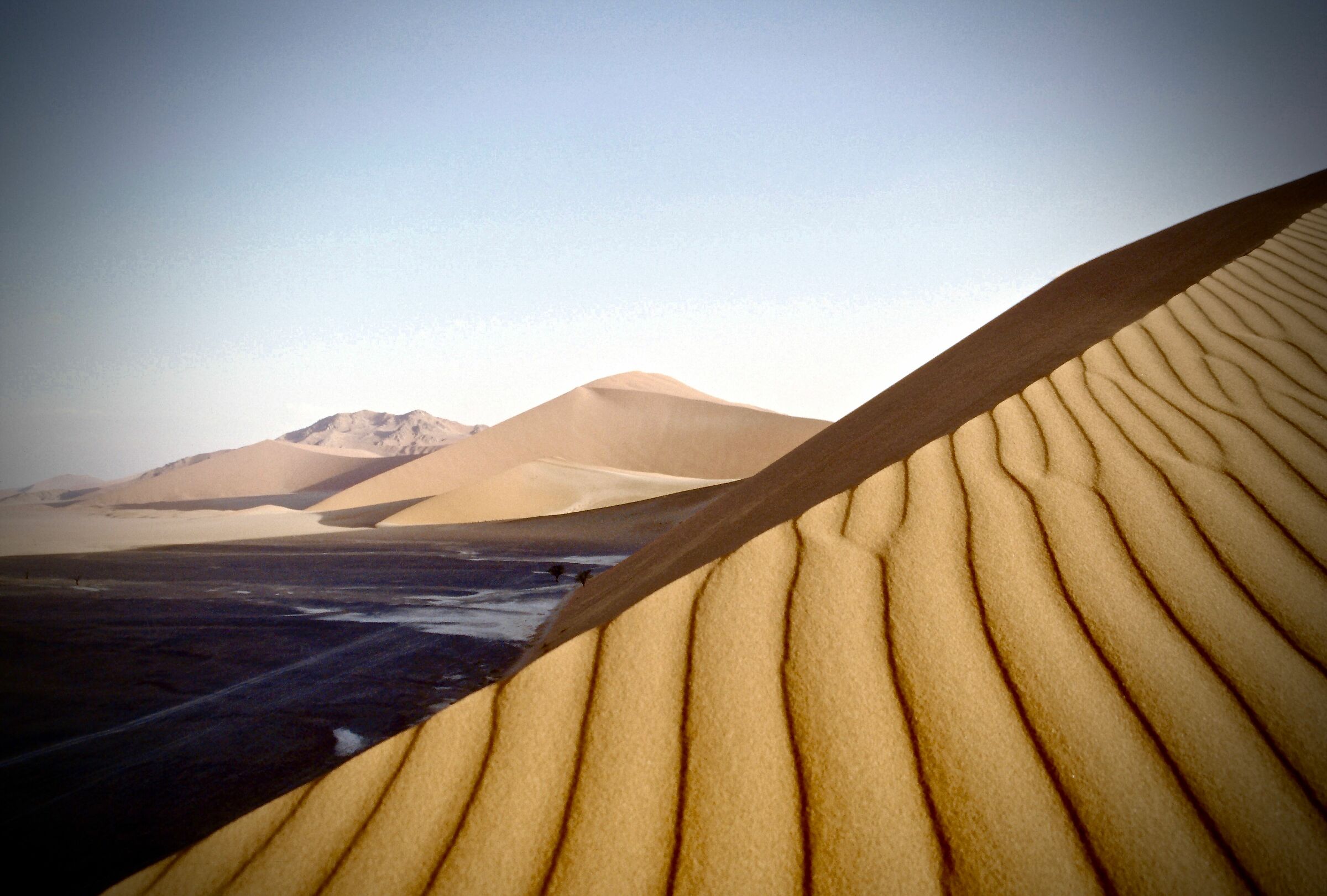 Namib Dune 45