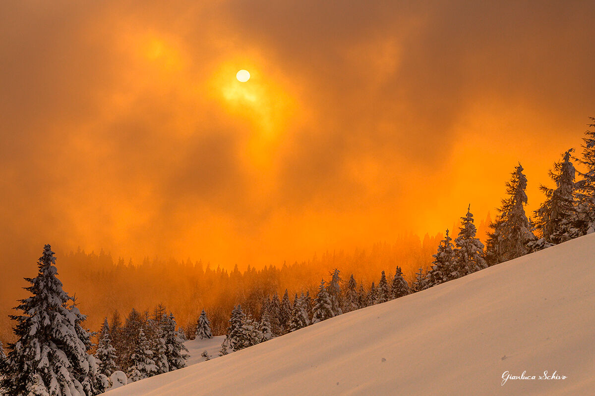 Quando la natura ti sorprende