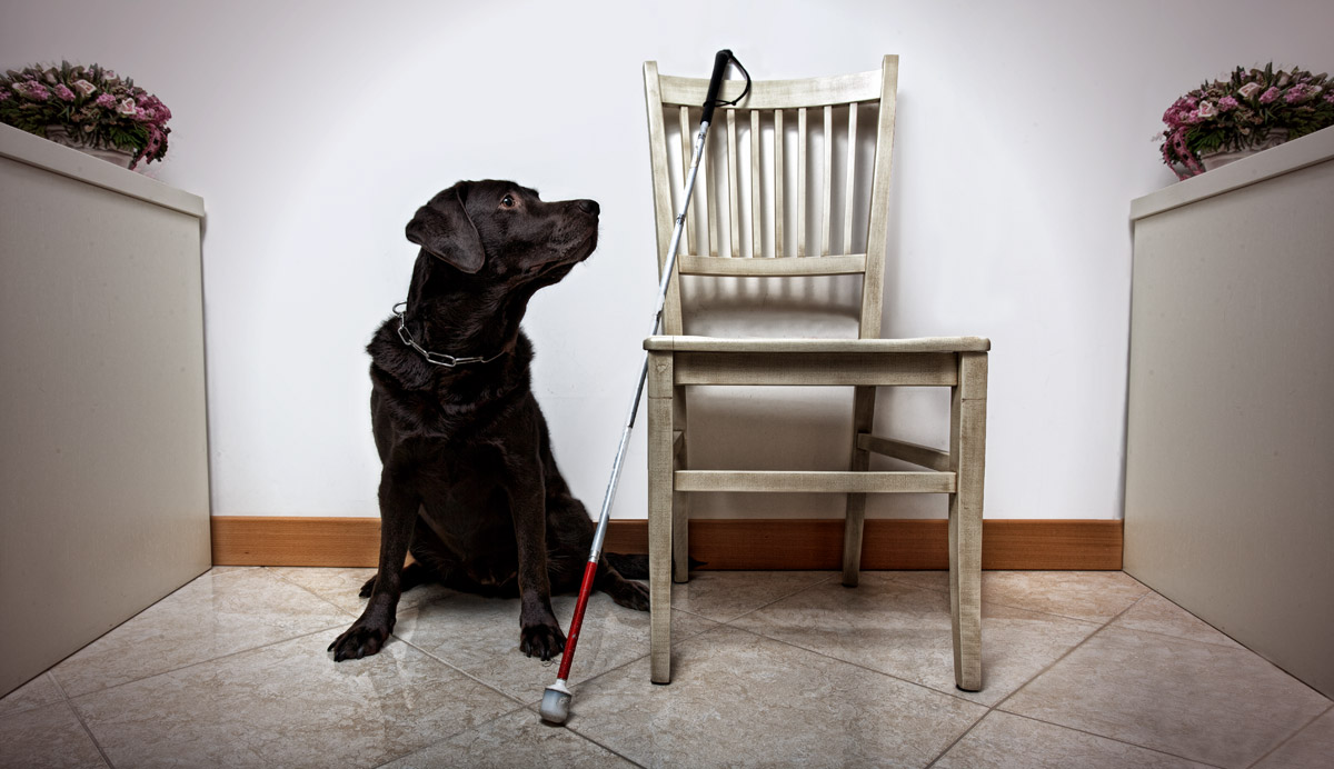 Non ti preoccupare, sono qui è il mio lavoro