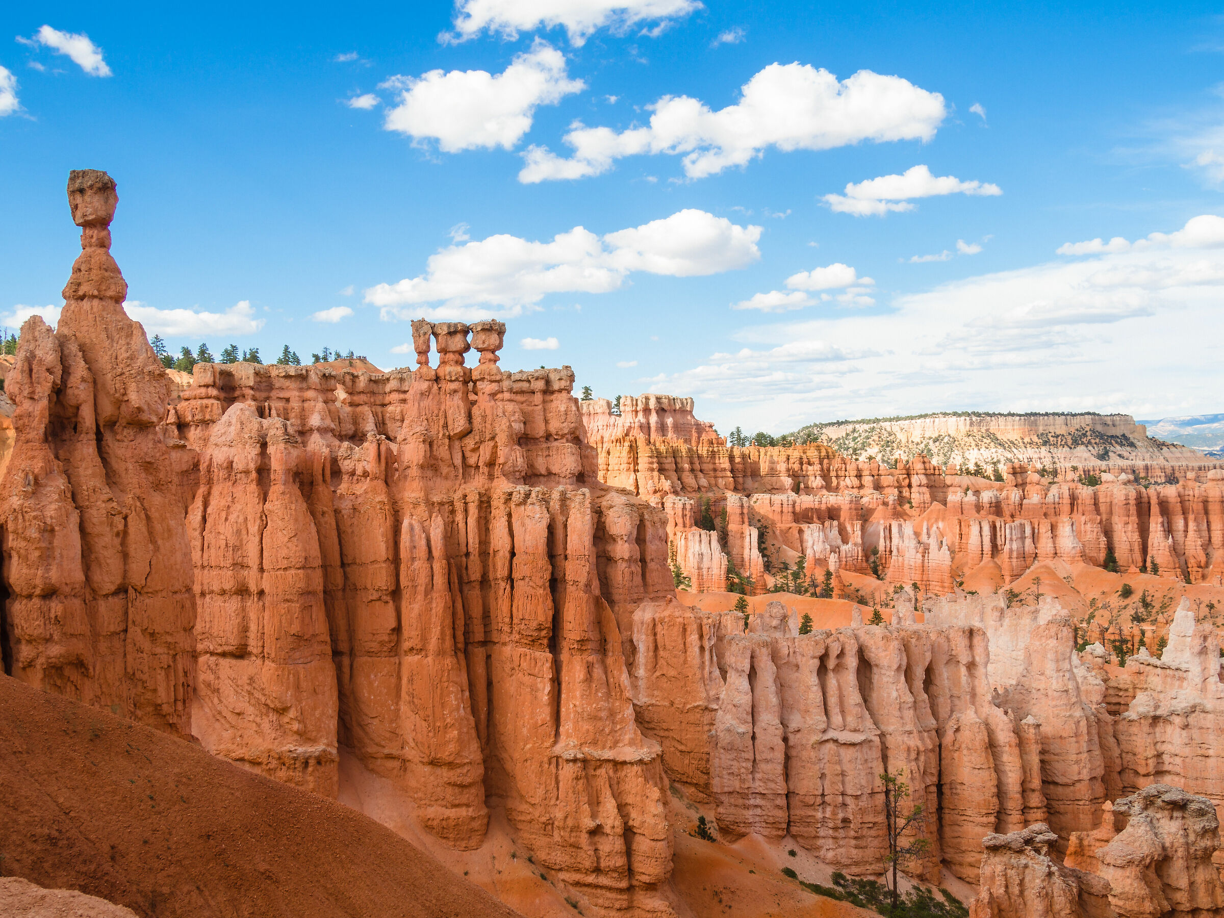 Bryce