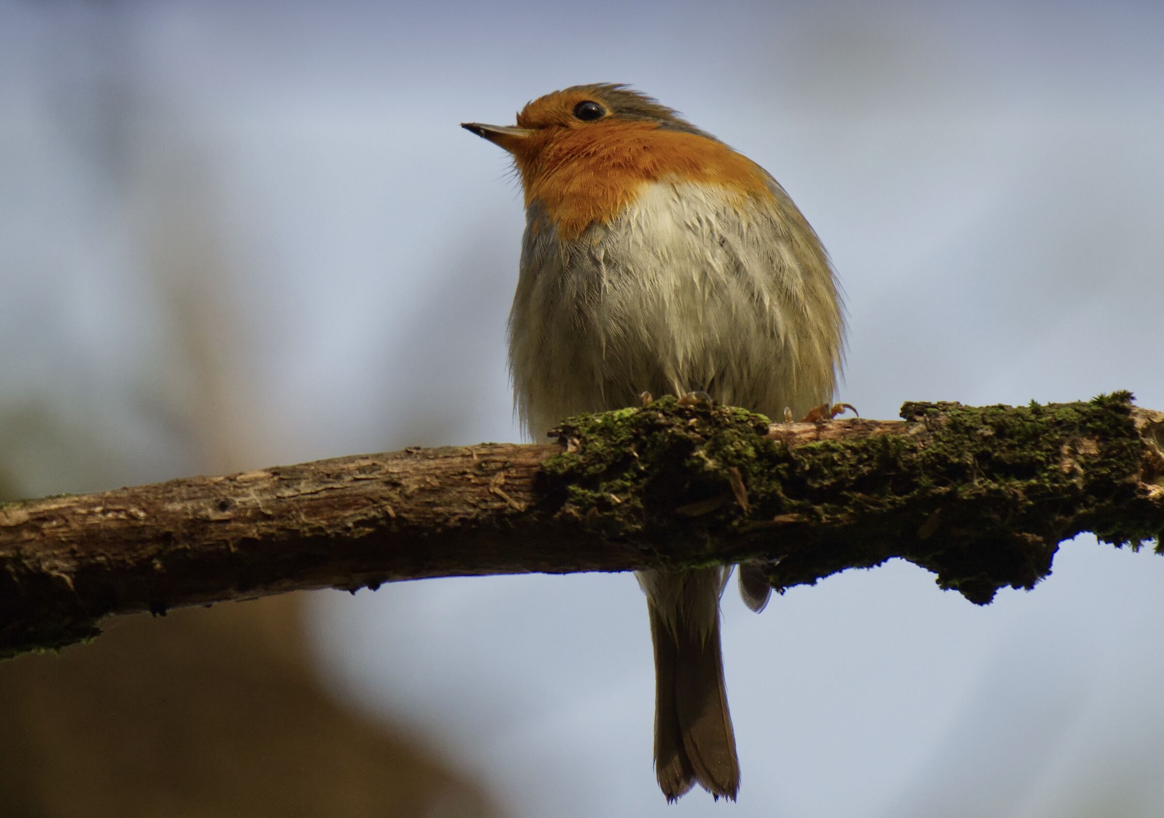 Basta con questa pioggia