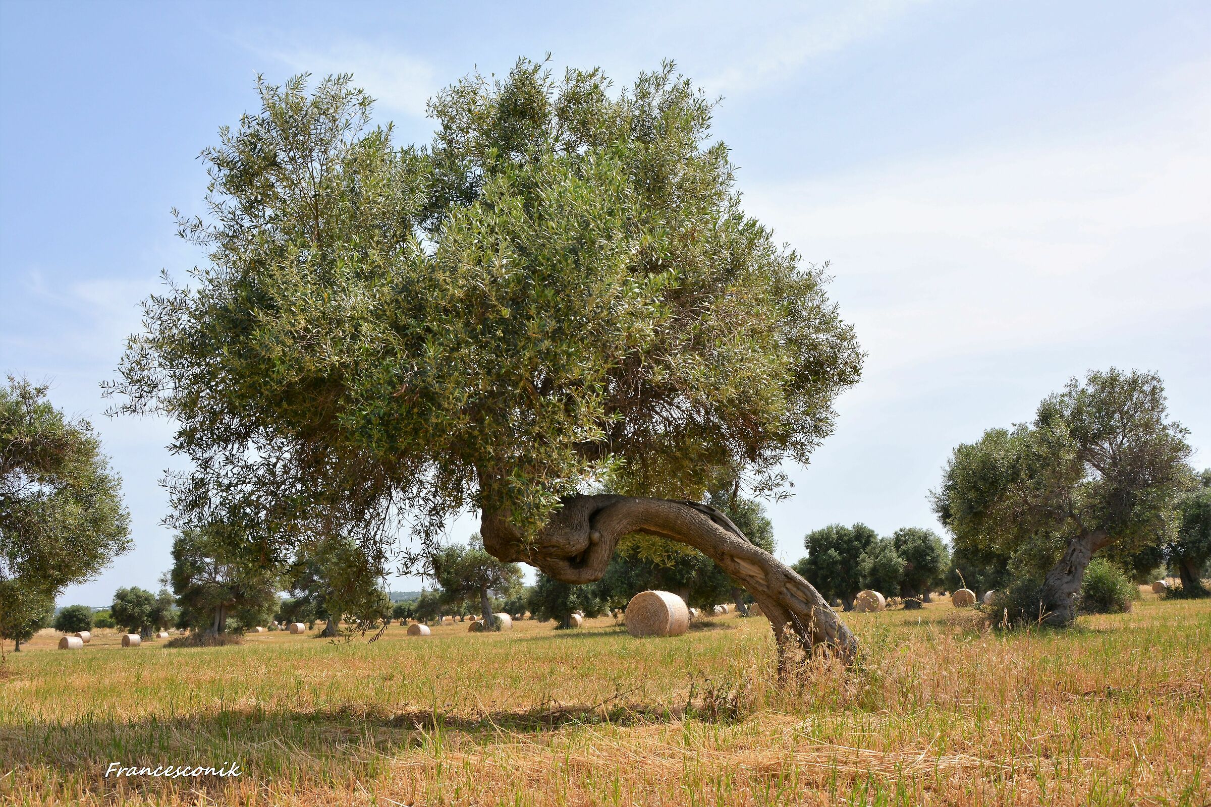 Mi piego ma non mi spezzo