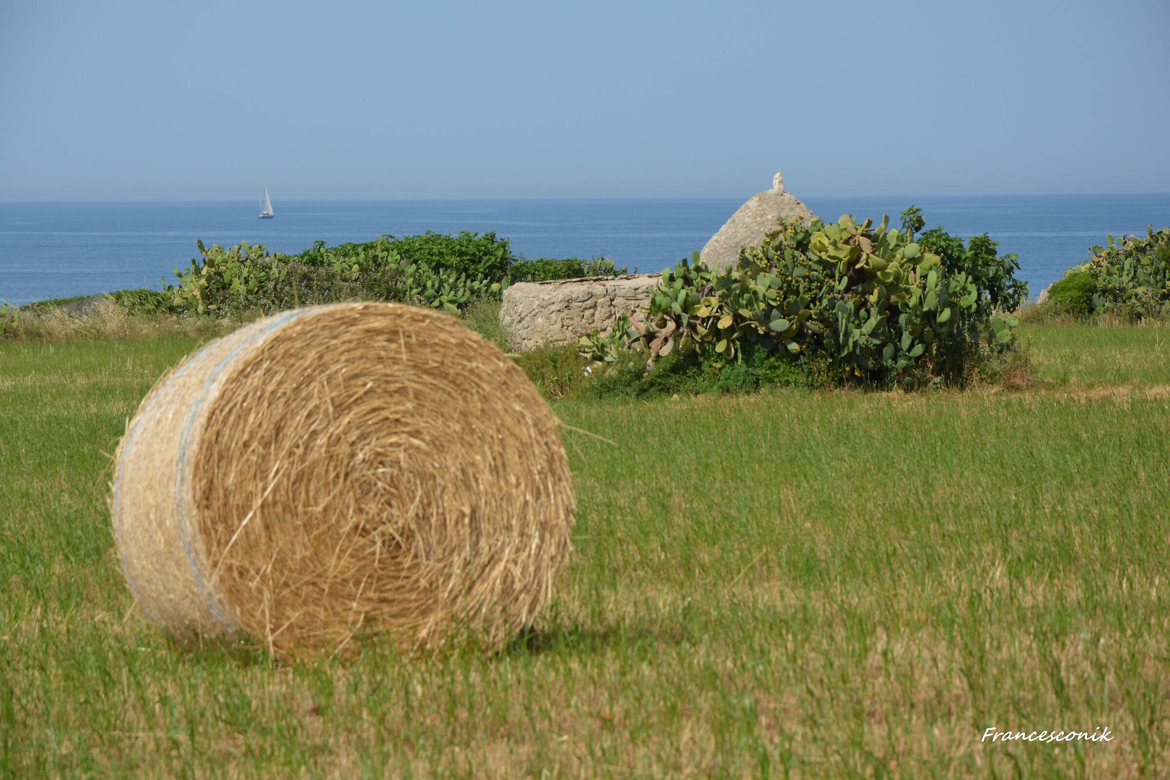 La natura che si riprende il proprio spazio