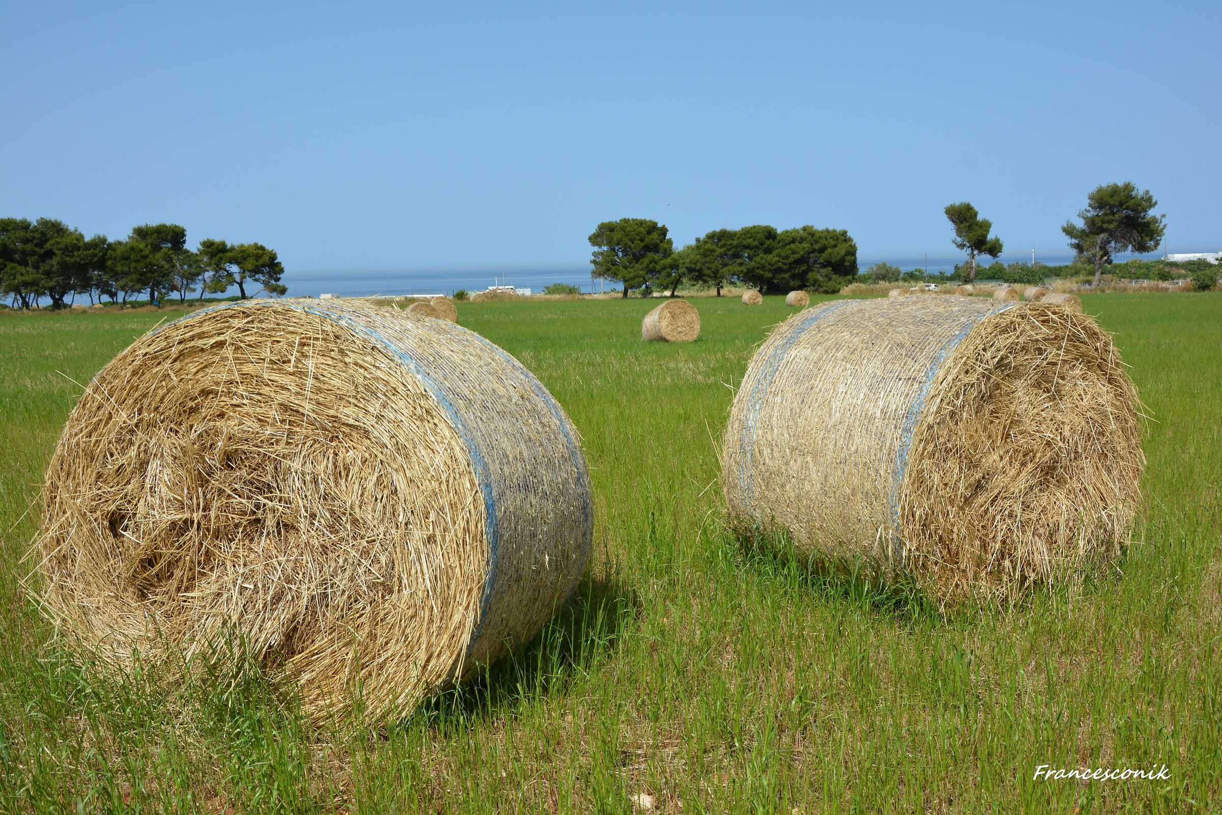 In attesa di andar via