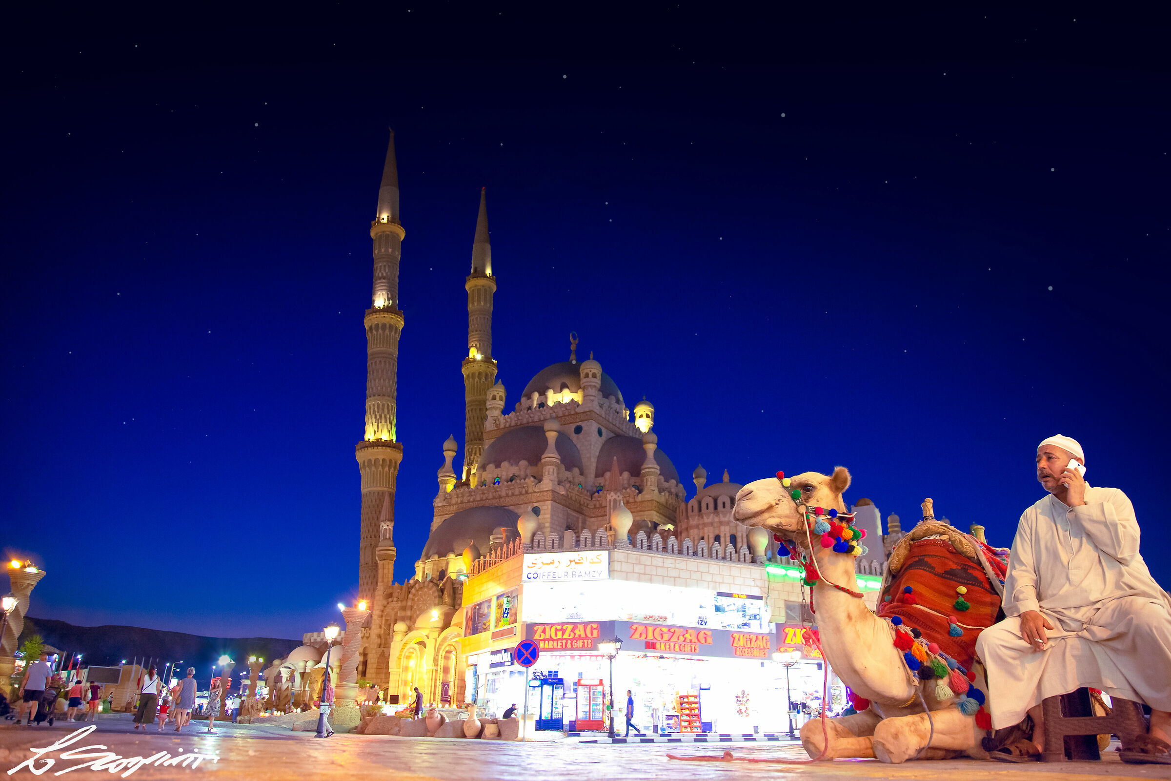 Analog and Digital-Sharm El Sheik