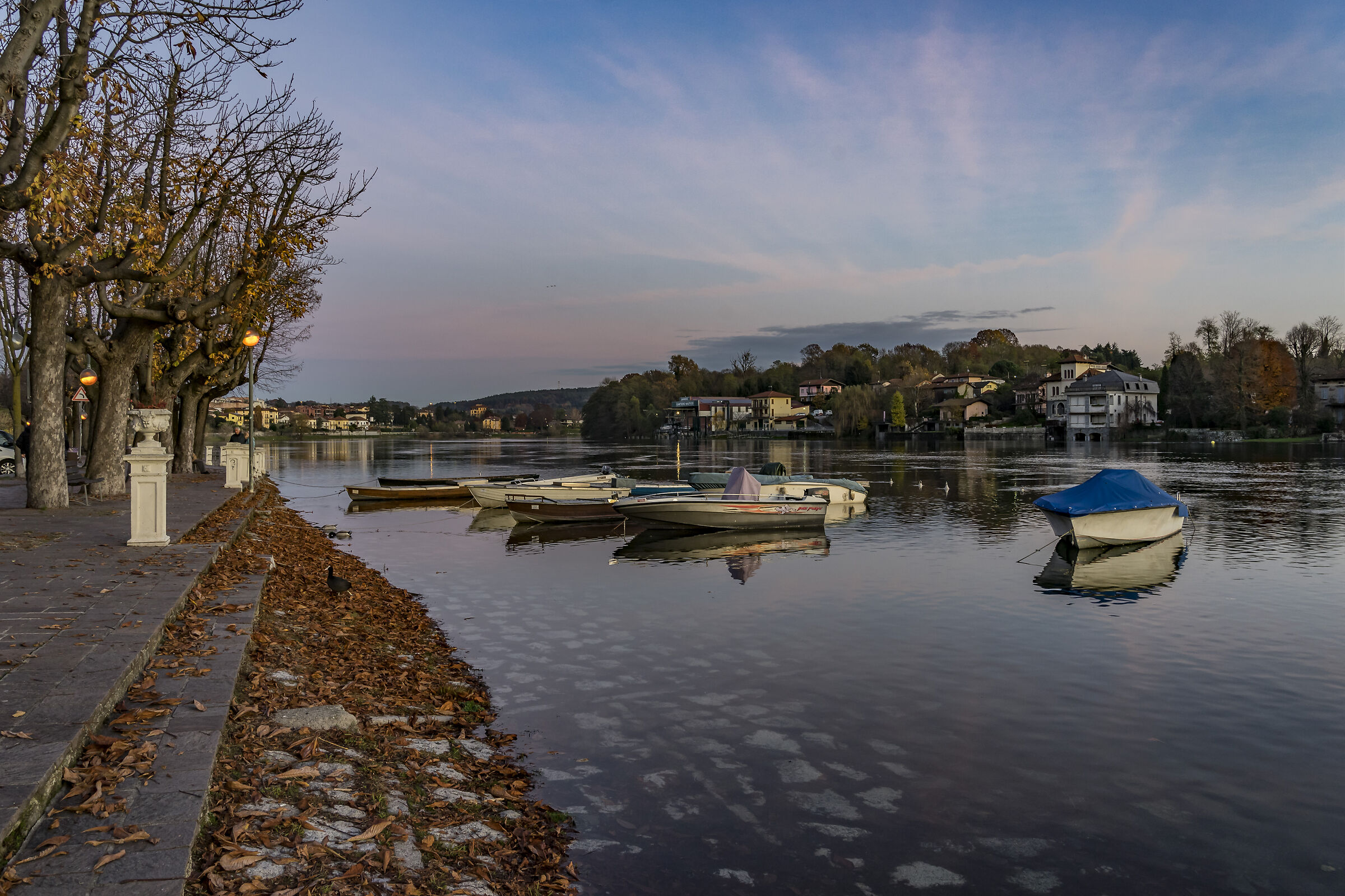 Lunedì 25 novembre 2019, 16:53:46