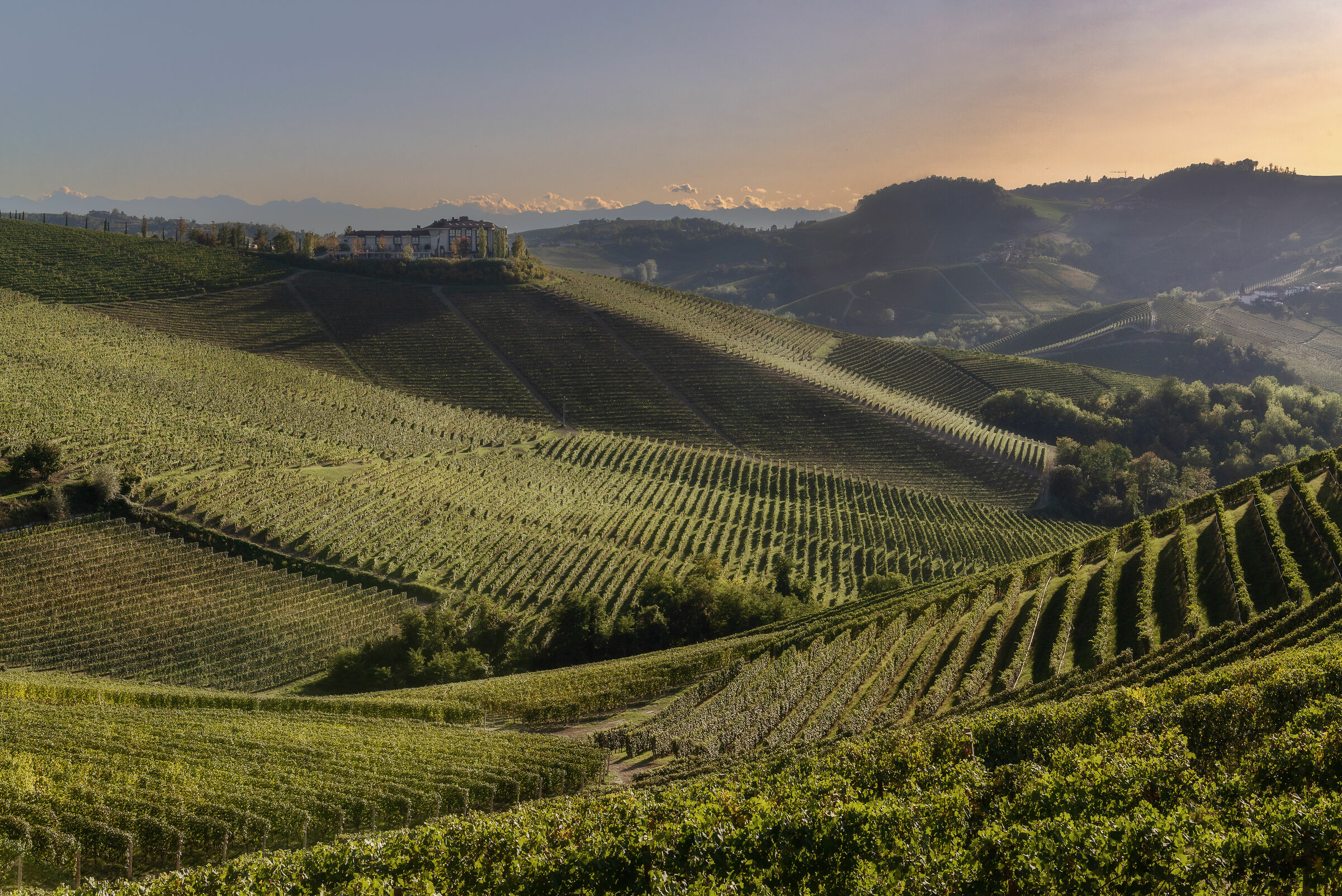 The Langhe and its vineyards