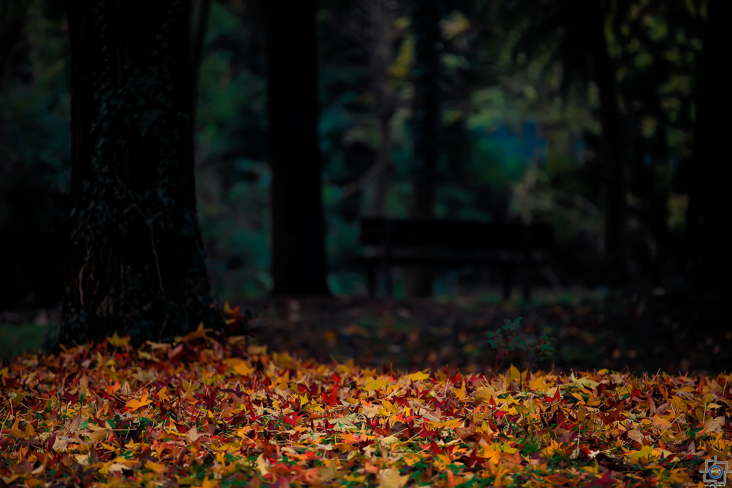 Autunno