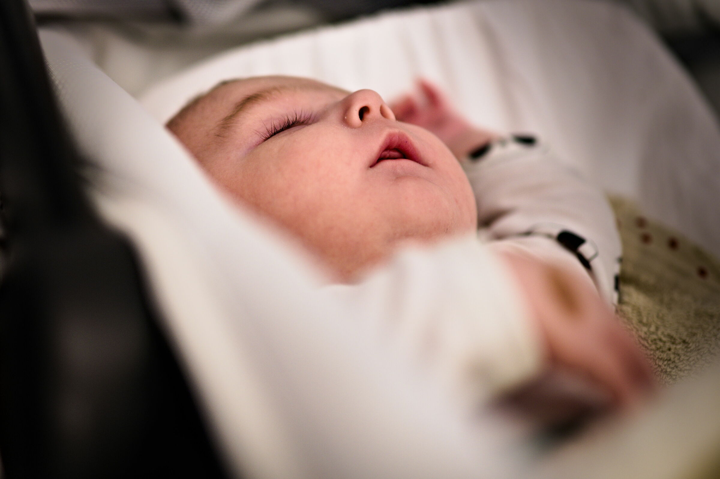 In the evening lions? In the morning postpone!!