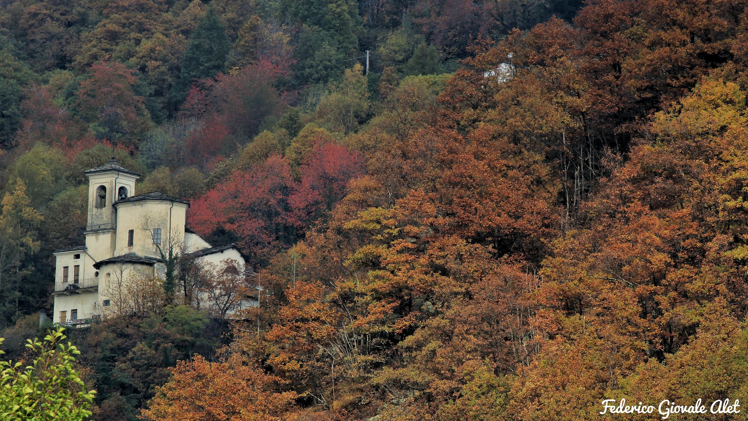 Foliage at St. James's Church of inlaw 2nd part