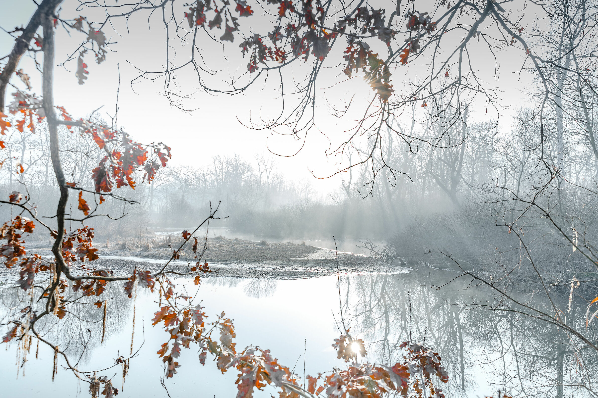 Untitled Photo
