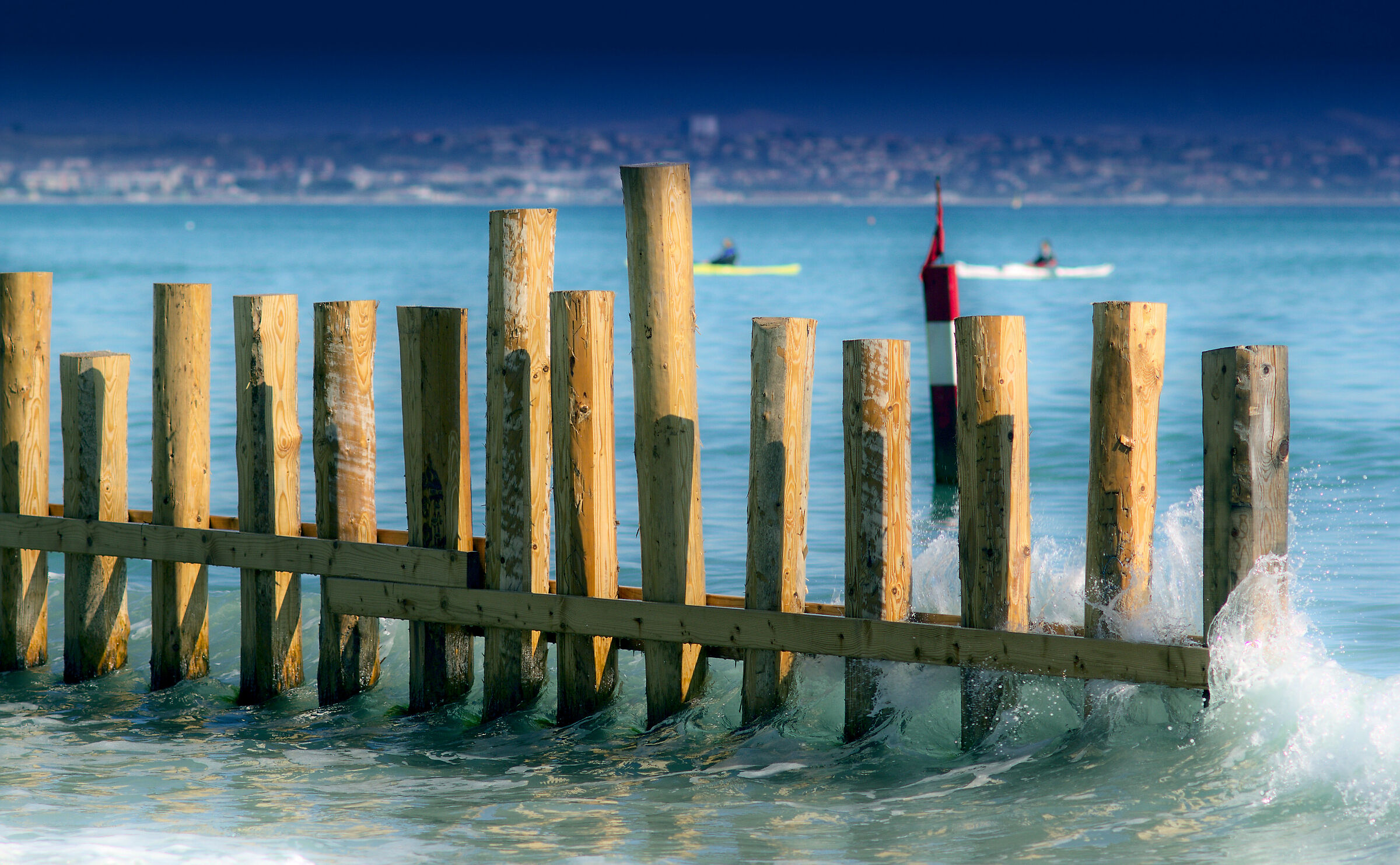 Spring is in the air