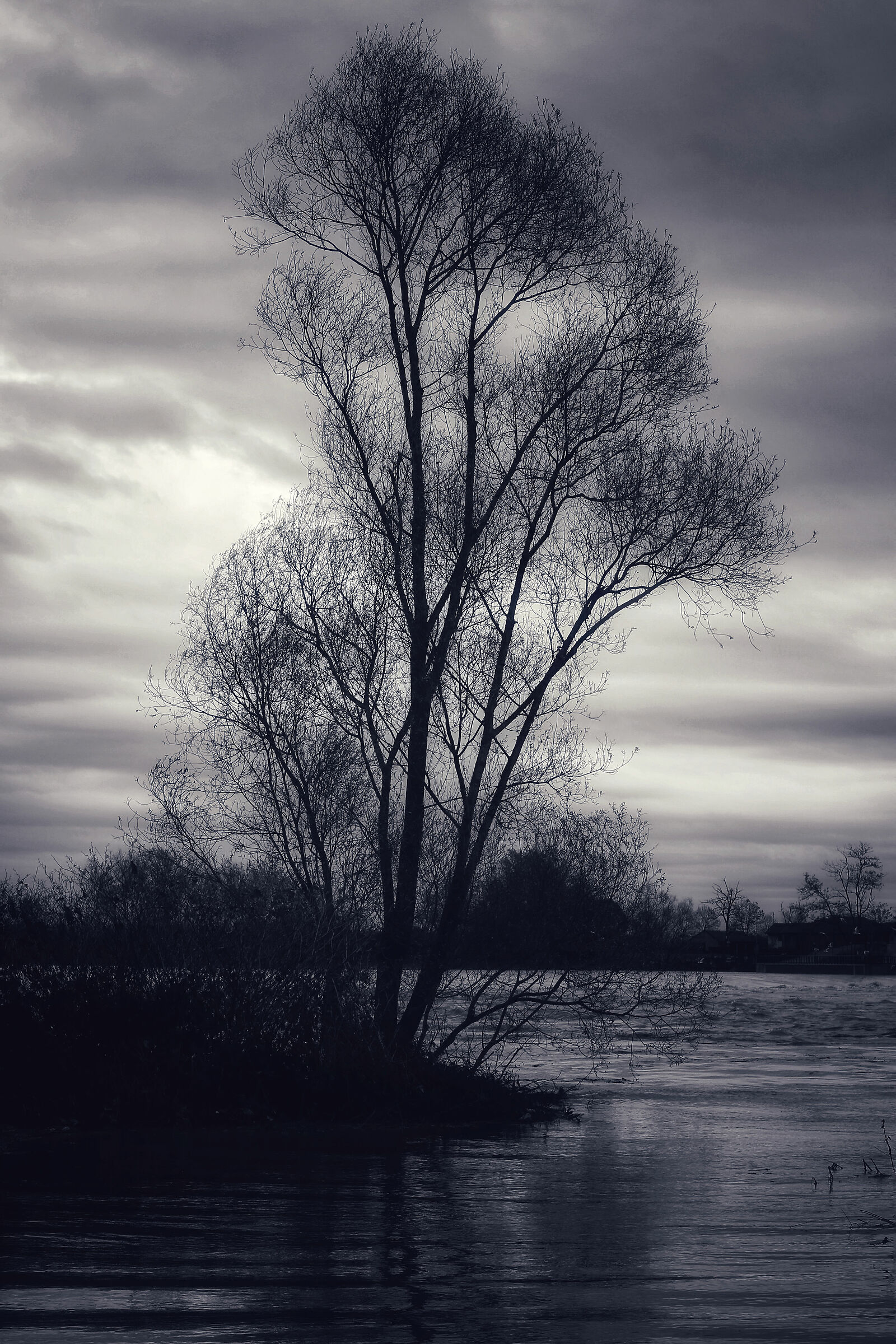 Lungo il fiume Sesia.