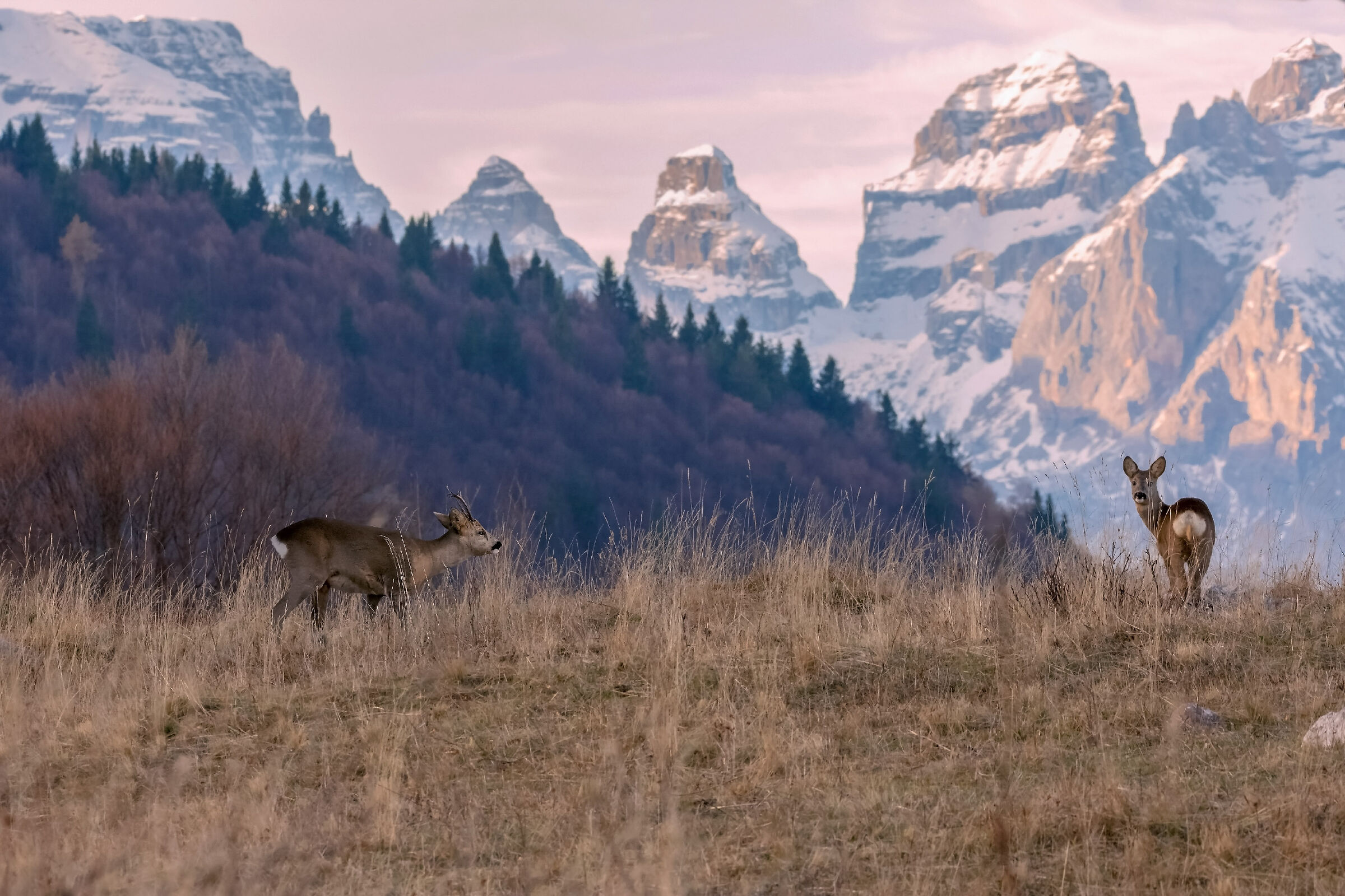 Aspettando la prima neve