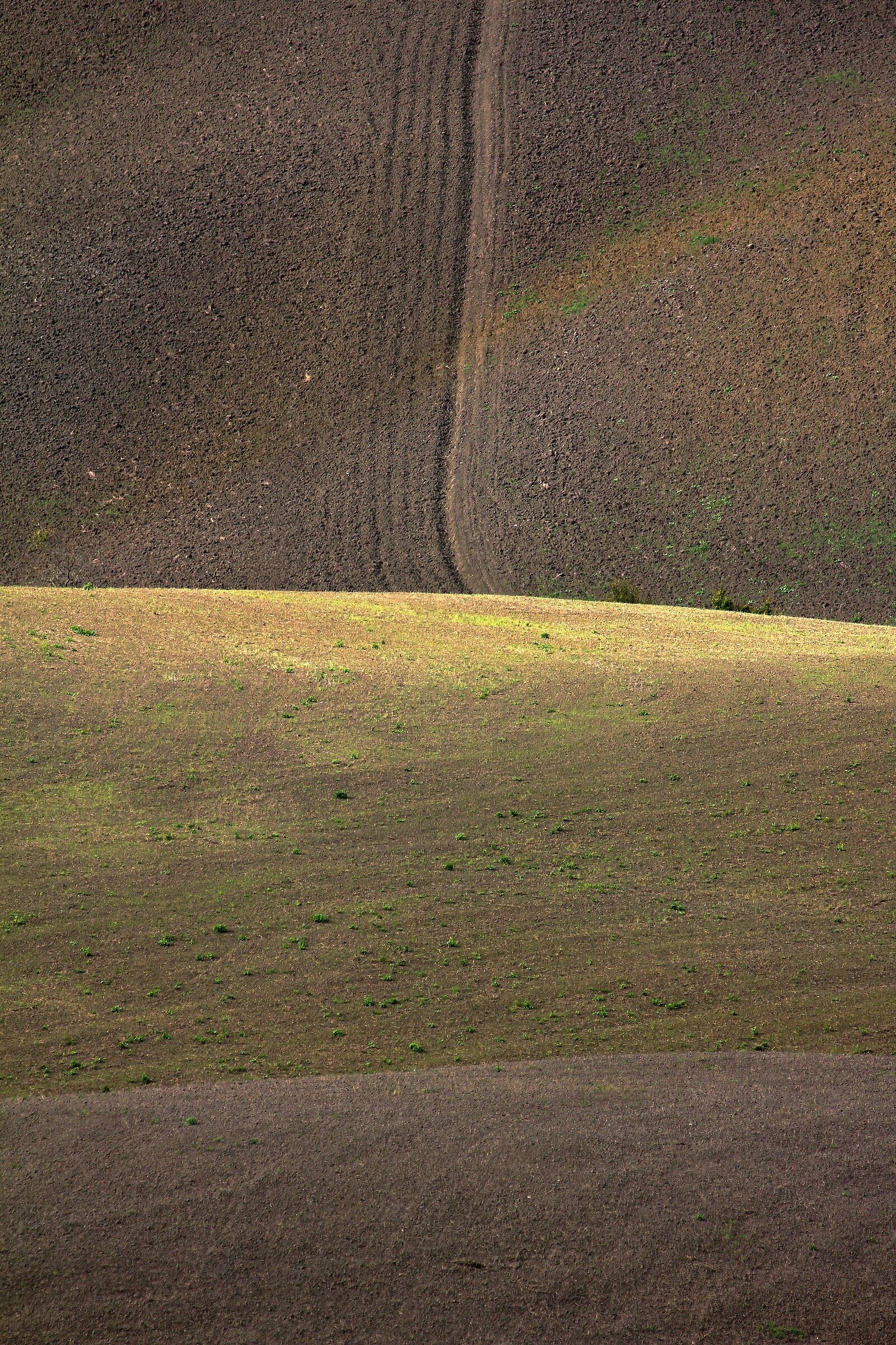 Minimal geometric-hilly....