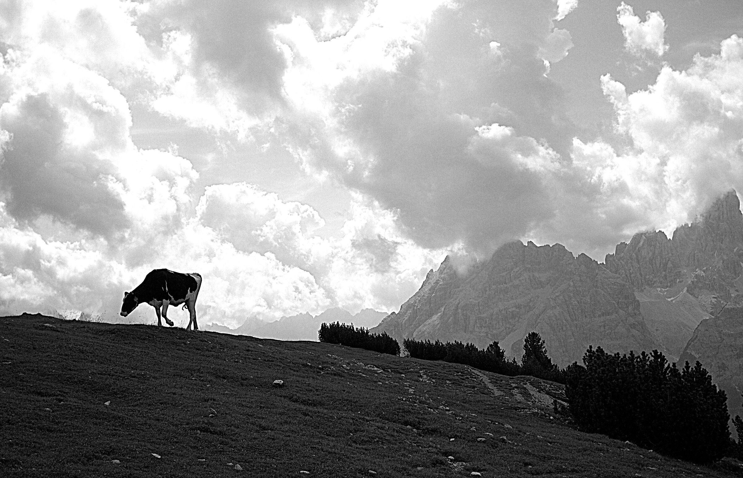 alpeggio in pusteria