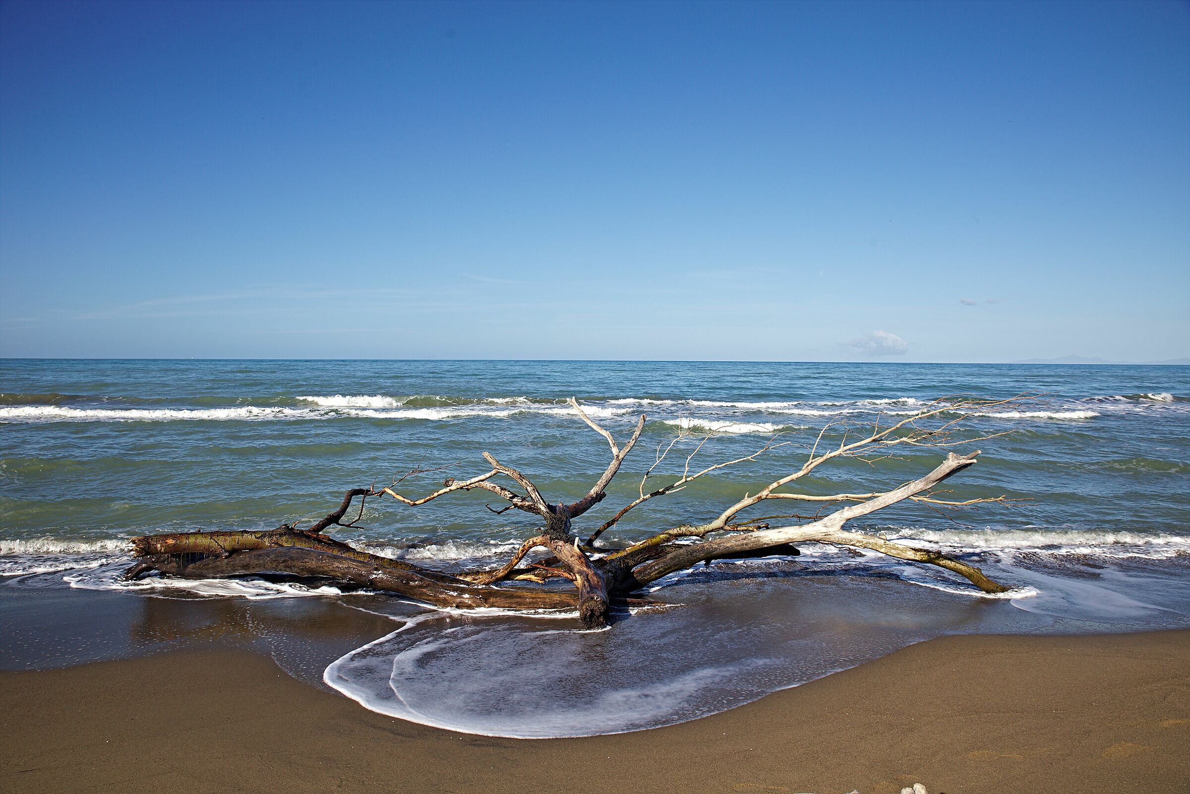 La natura selvaggia della Maremma